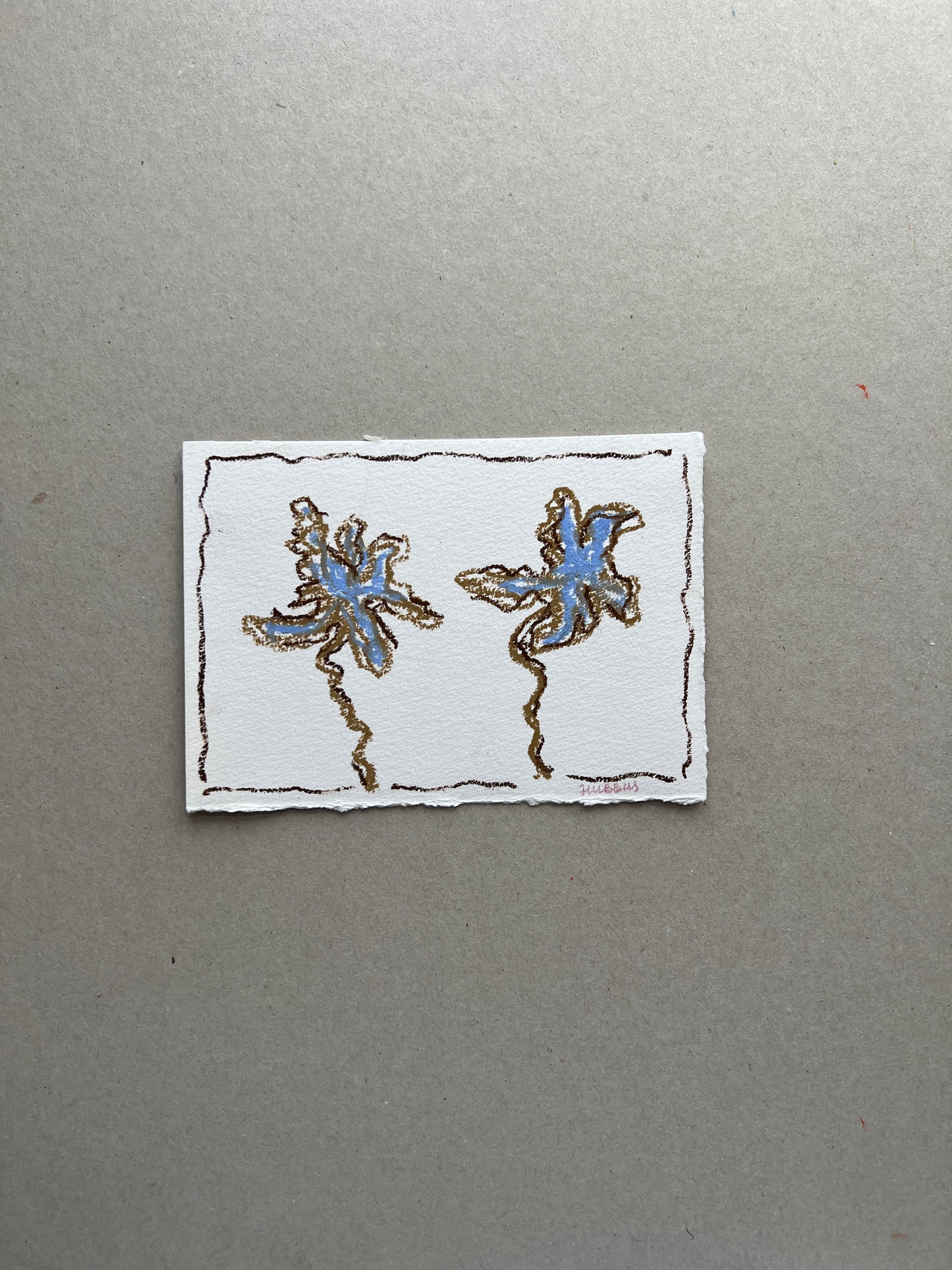JUNE FLOWER 02