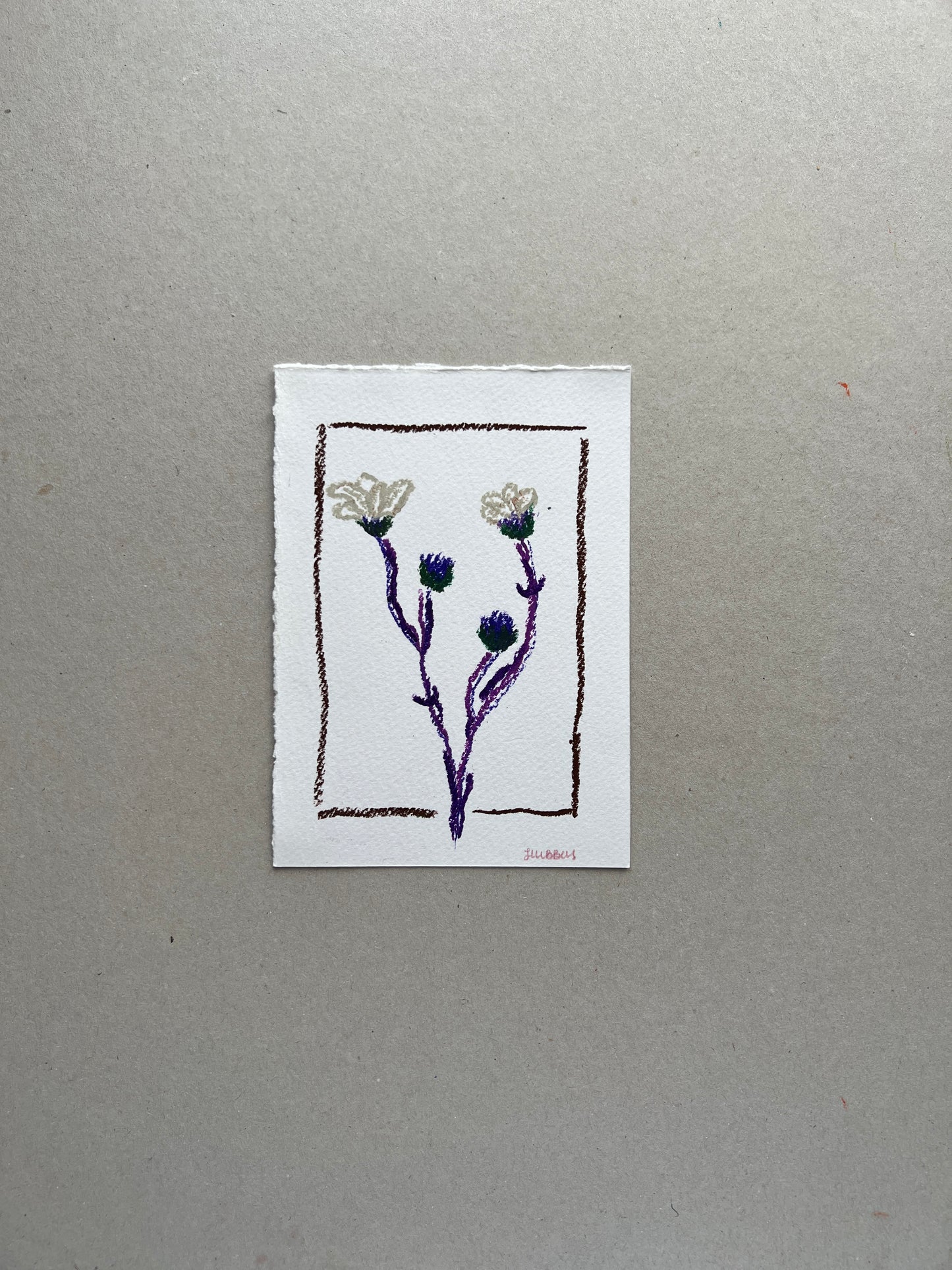 SEPTEMBER FLOWER 02