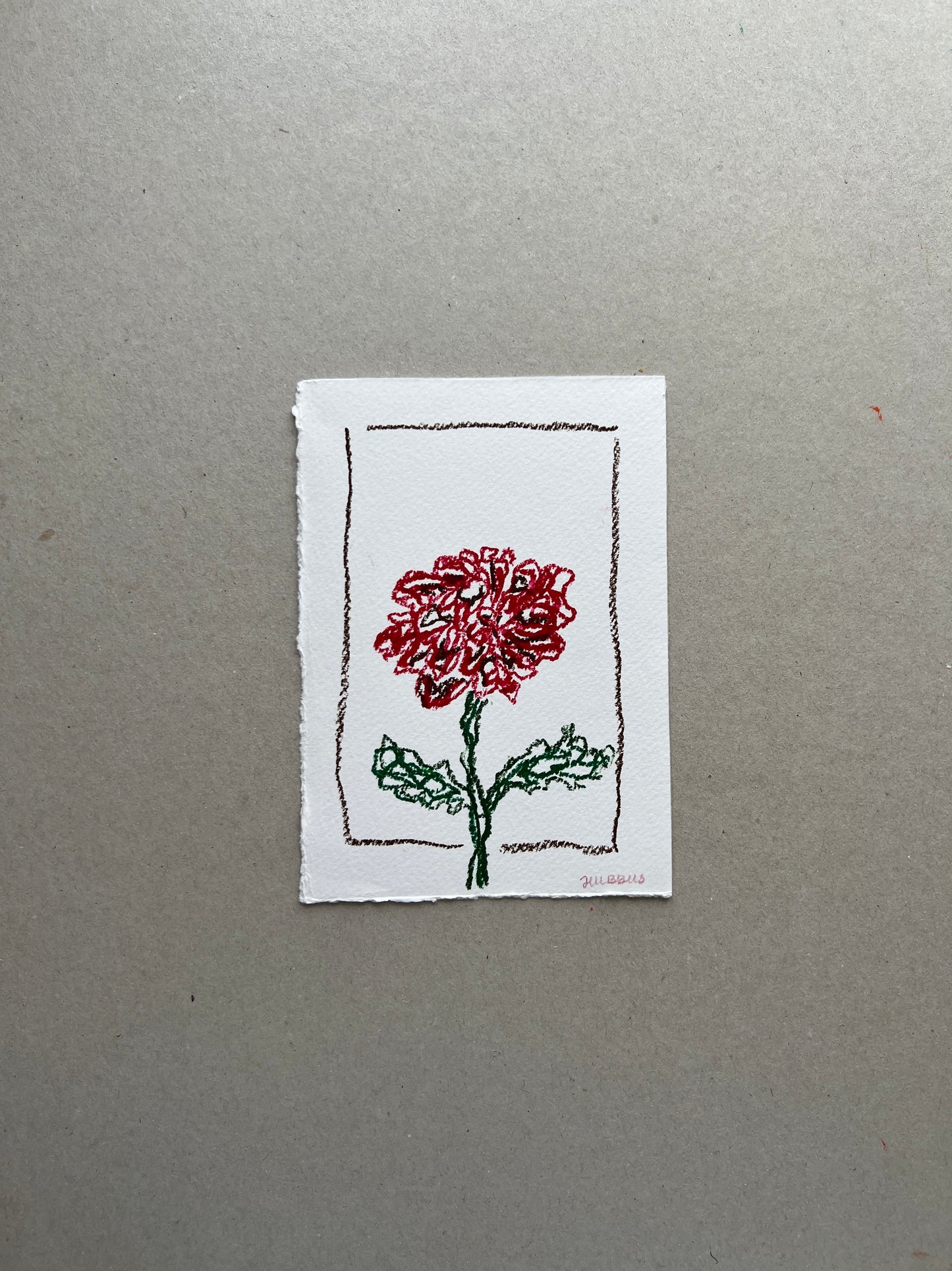 NOVEMBER FLOWER 01