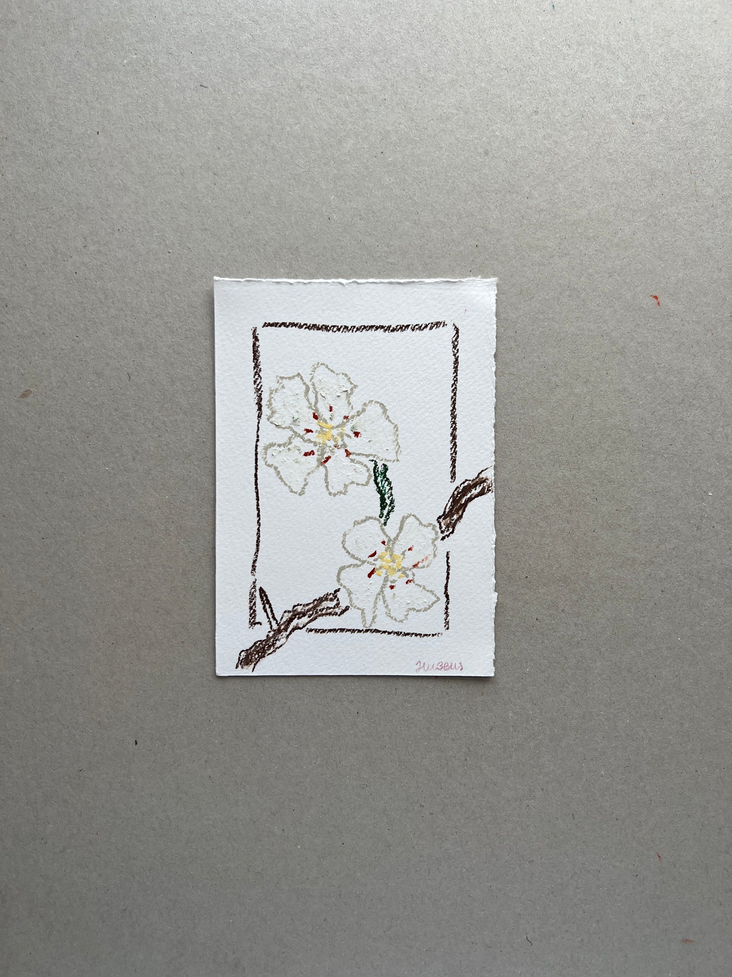 MAY FLOWER 03