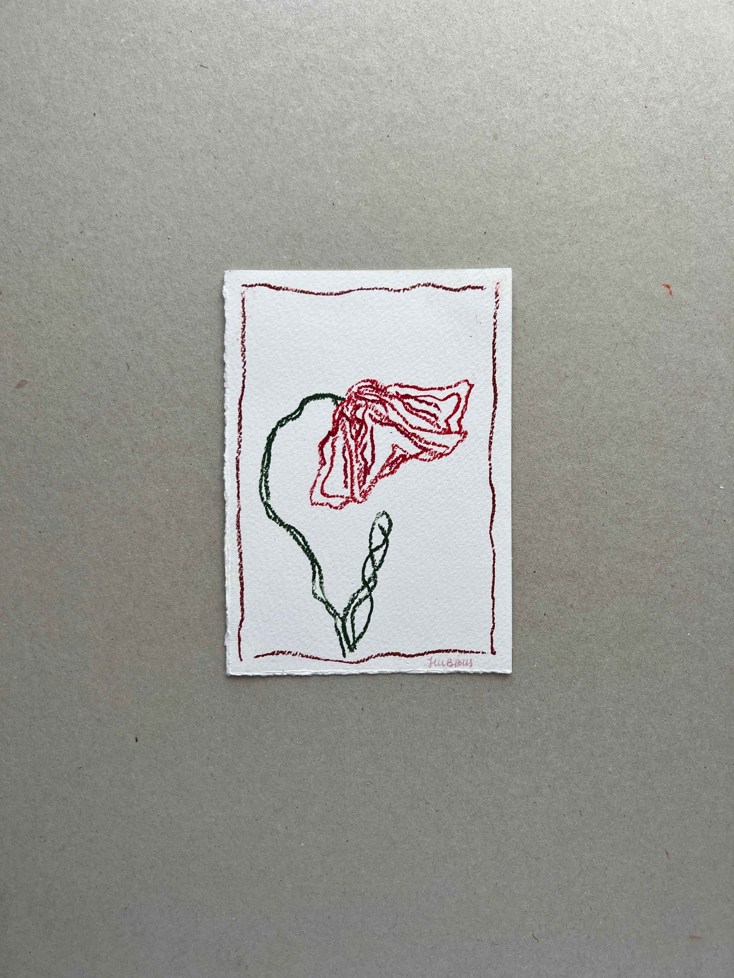 AUGUST FLOWER 01