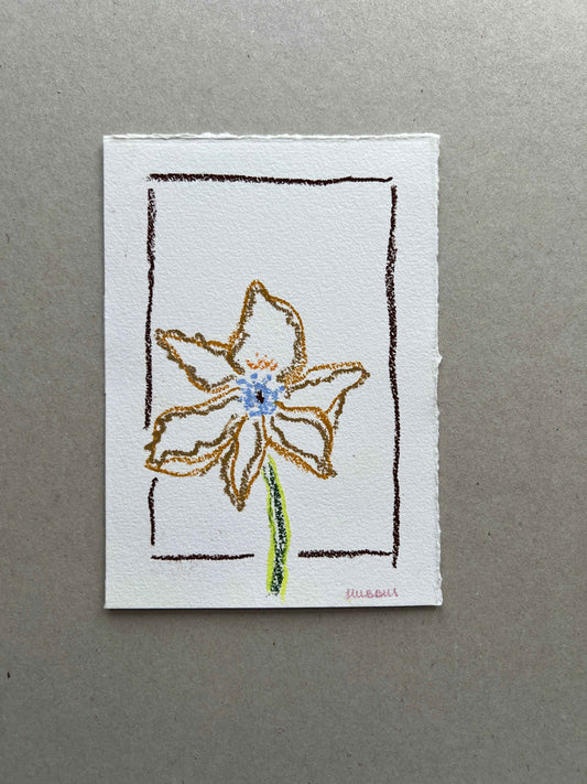 JUNE FLOWER 01