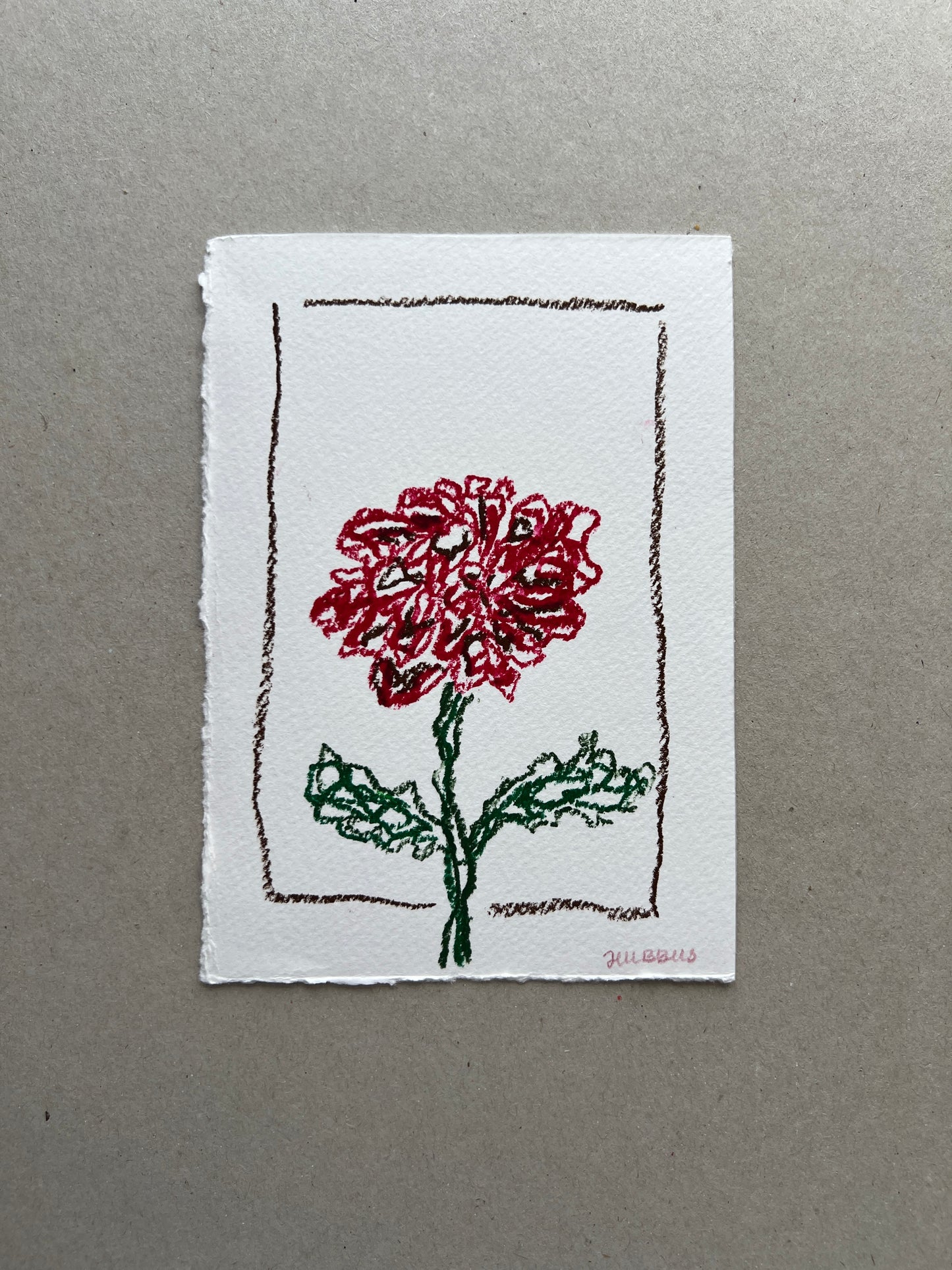 NOVEMBER FLOWER 01