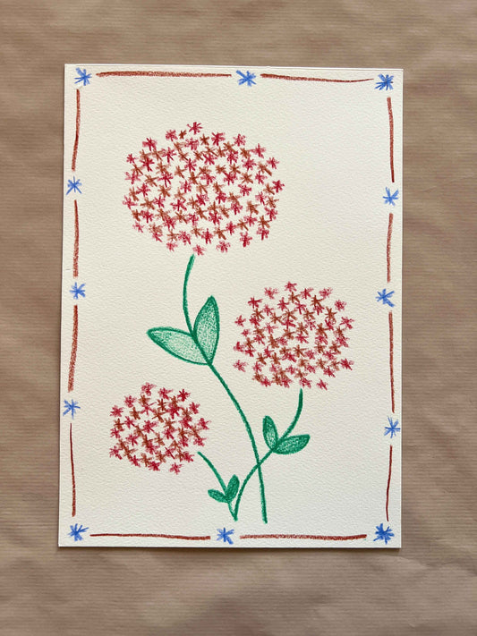 Original drawing on cotton paper