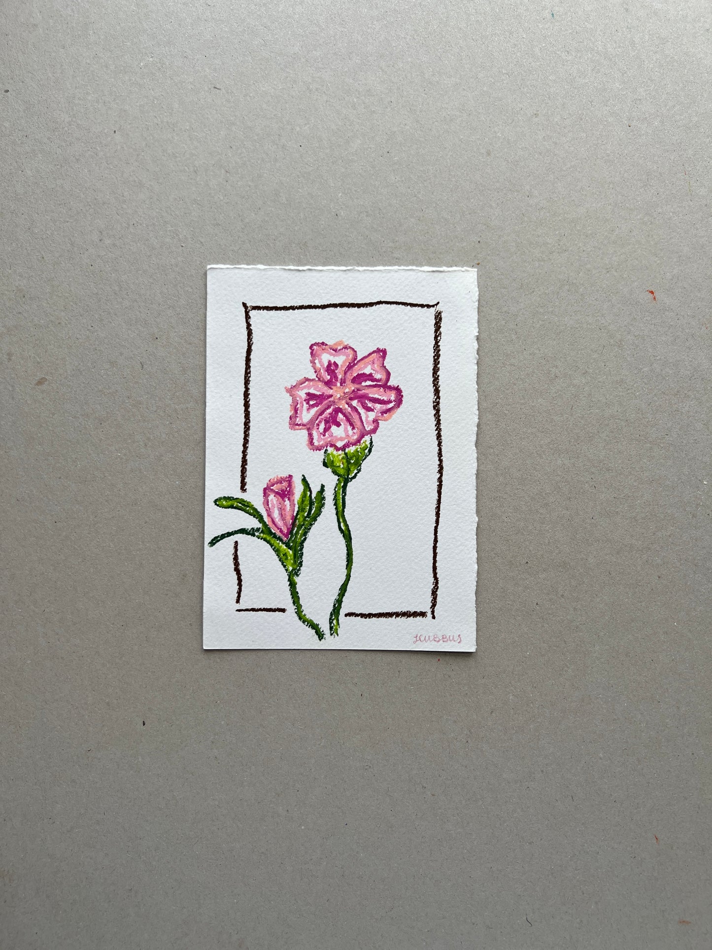 JANUARY FLOWER 01