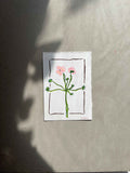 MAY FLOWER 01