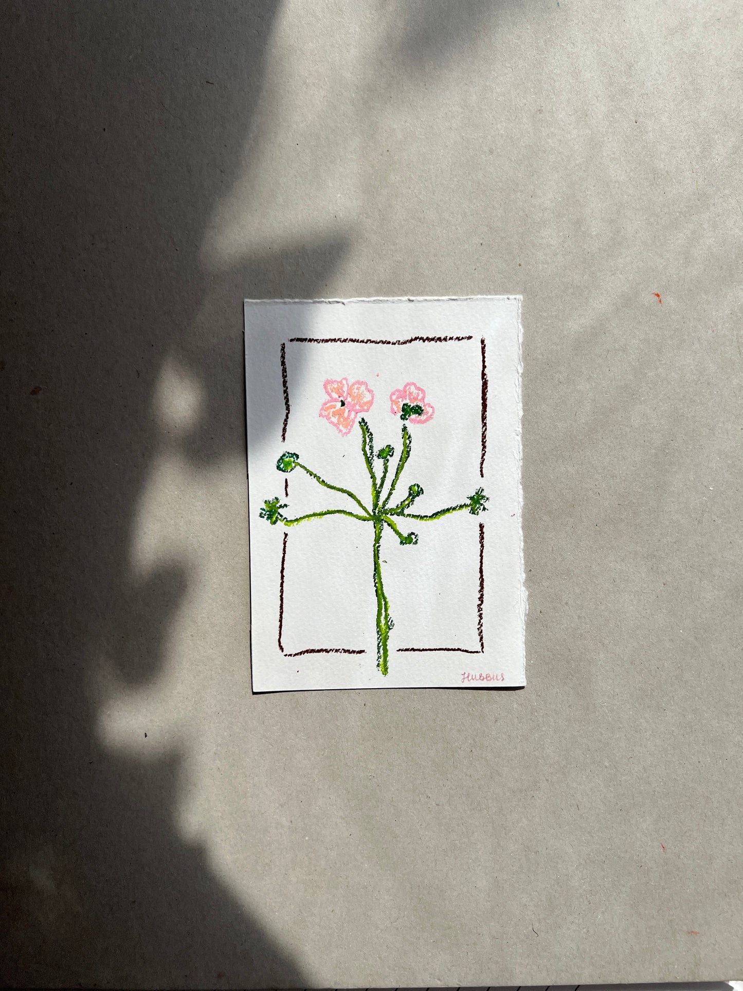 MAY FLOWER 01