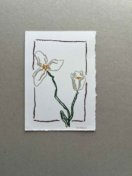 MARCH FLOWER 03