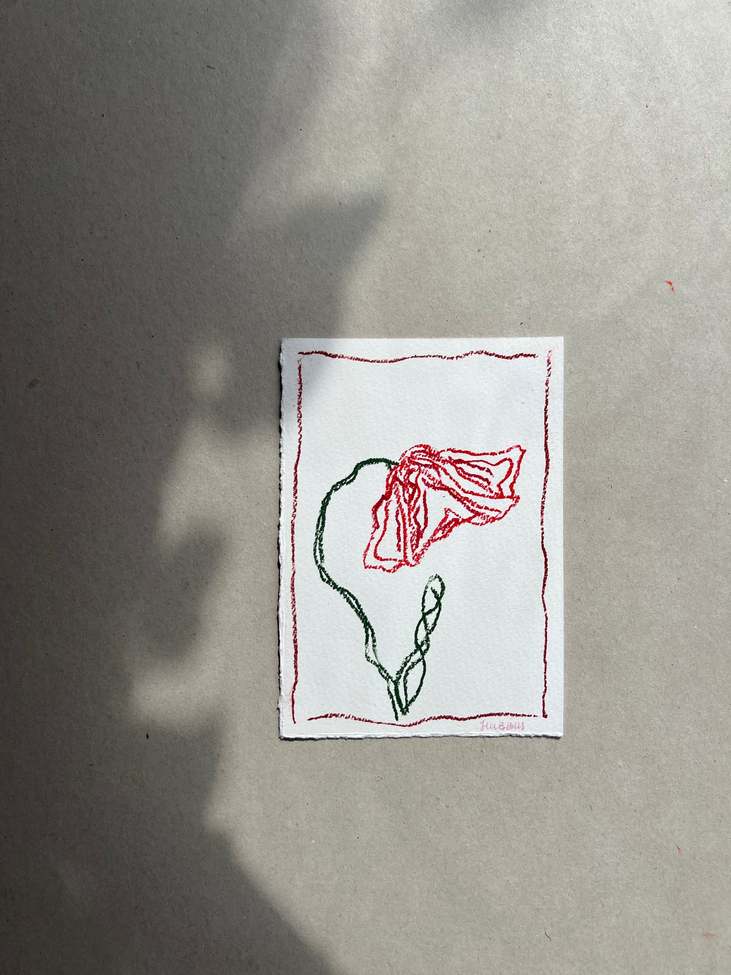 AUGUST FLOWER 01