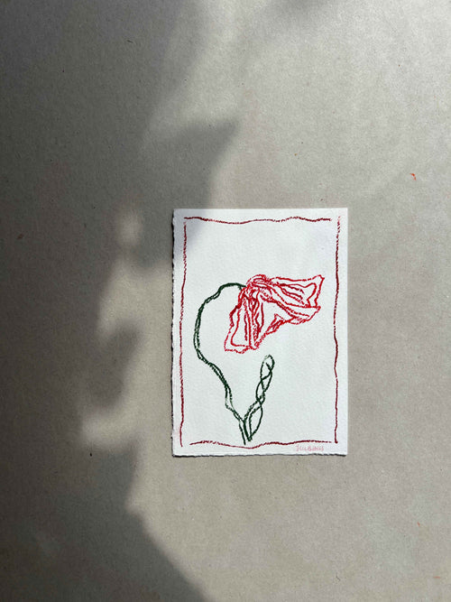 AUGUST FLOWER 01