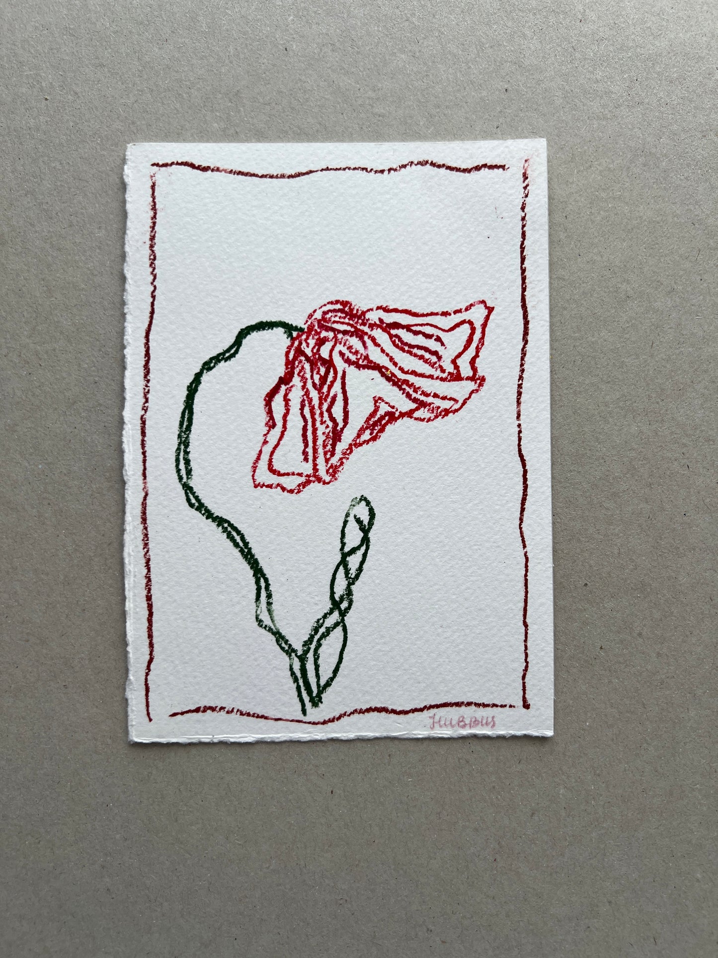 AUGUST FLOWER 01