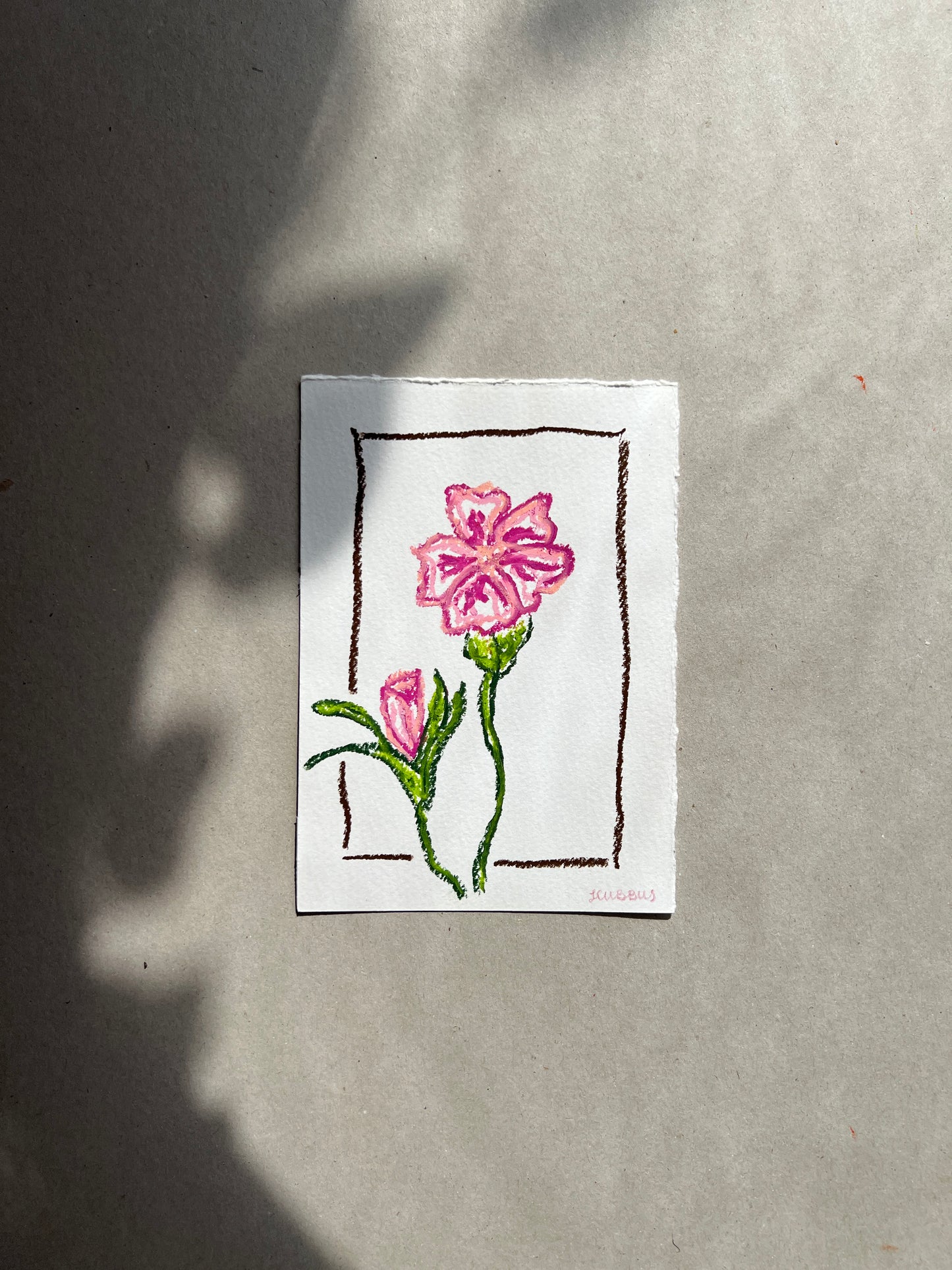 JANUARY FLOWER 01