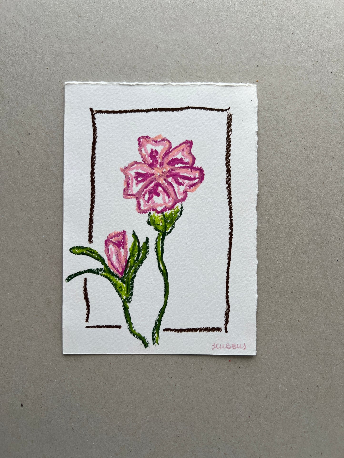 JANUARY FLOWER 01