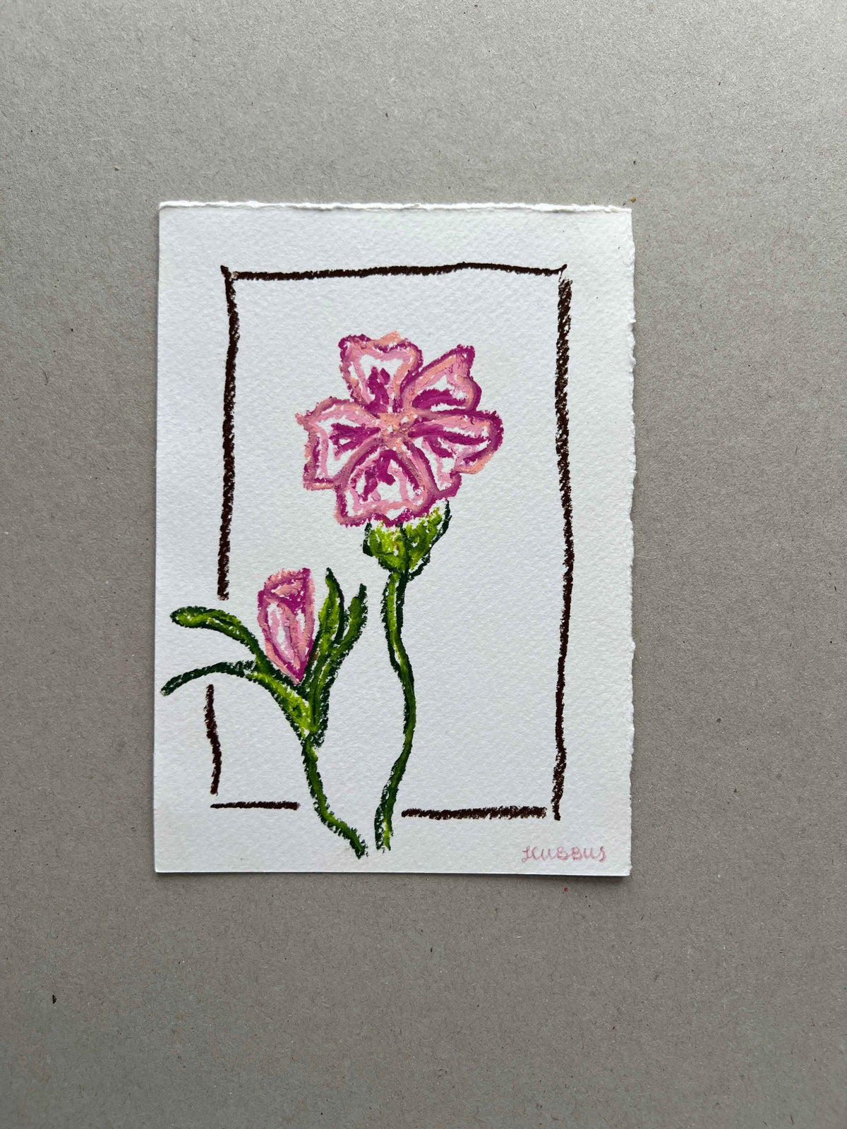 JANUARY FLOWER 01