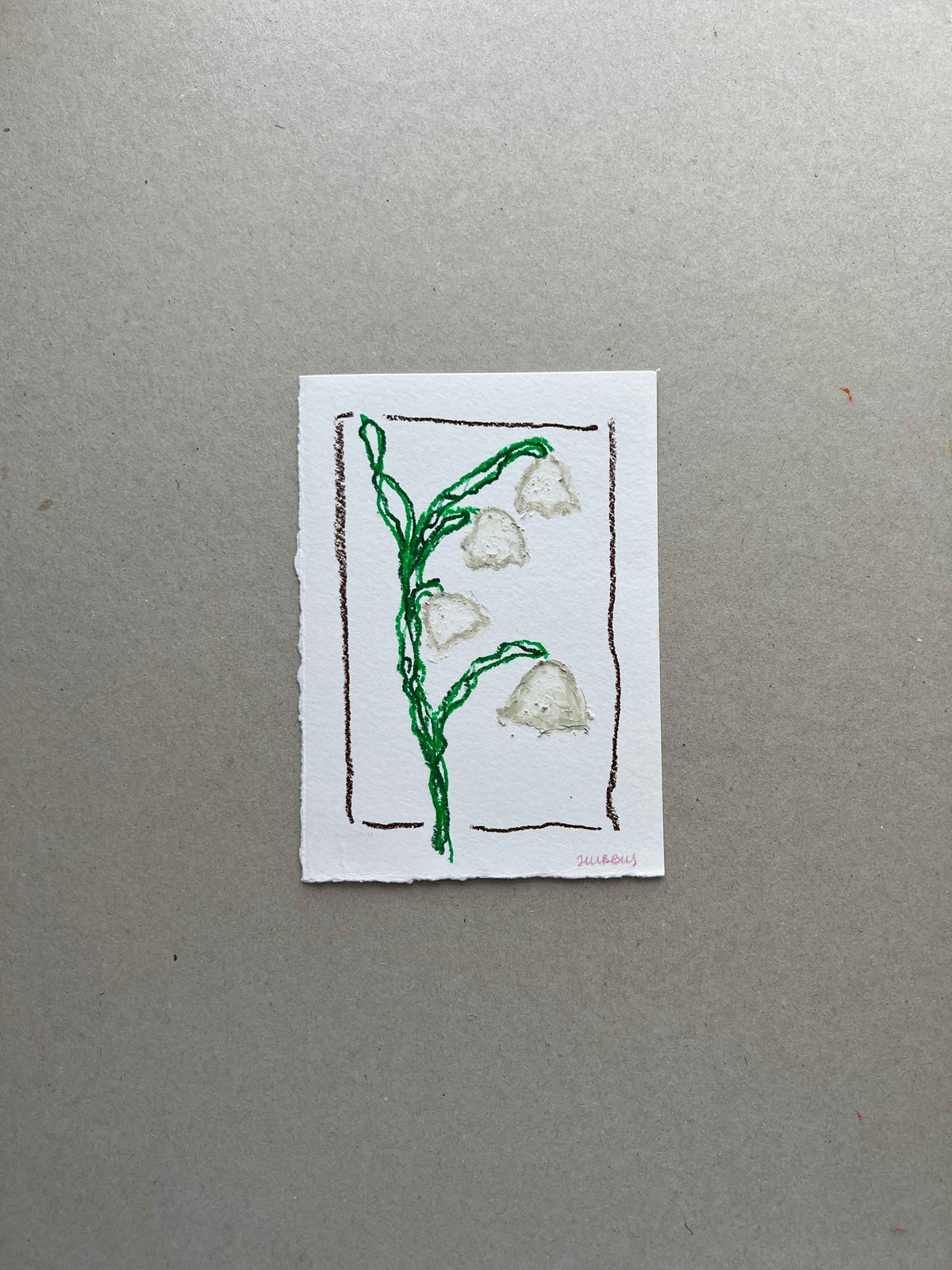 MAY FLOWER 02