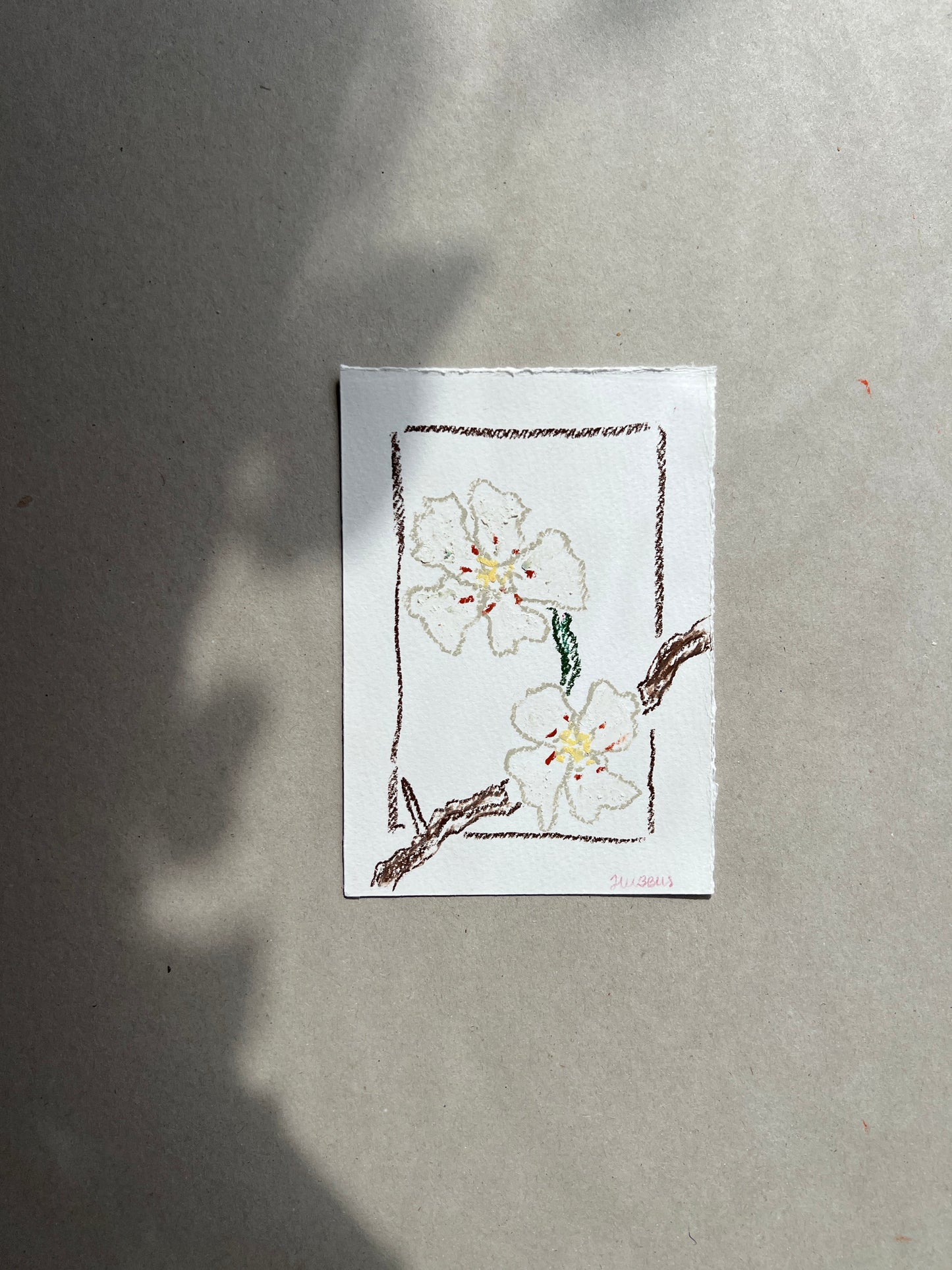 MAY FLOWER 03