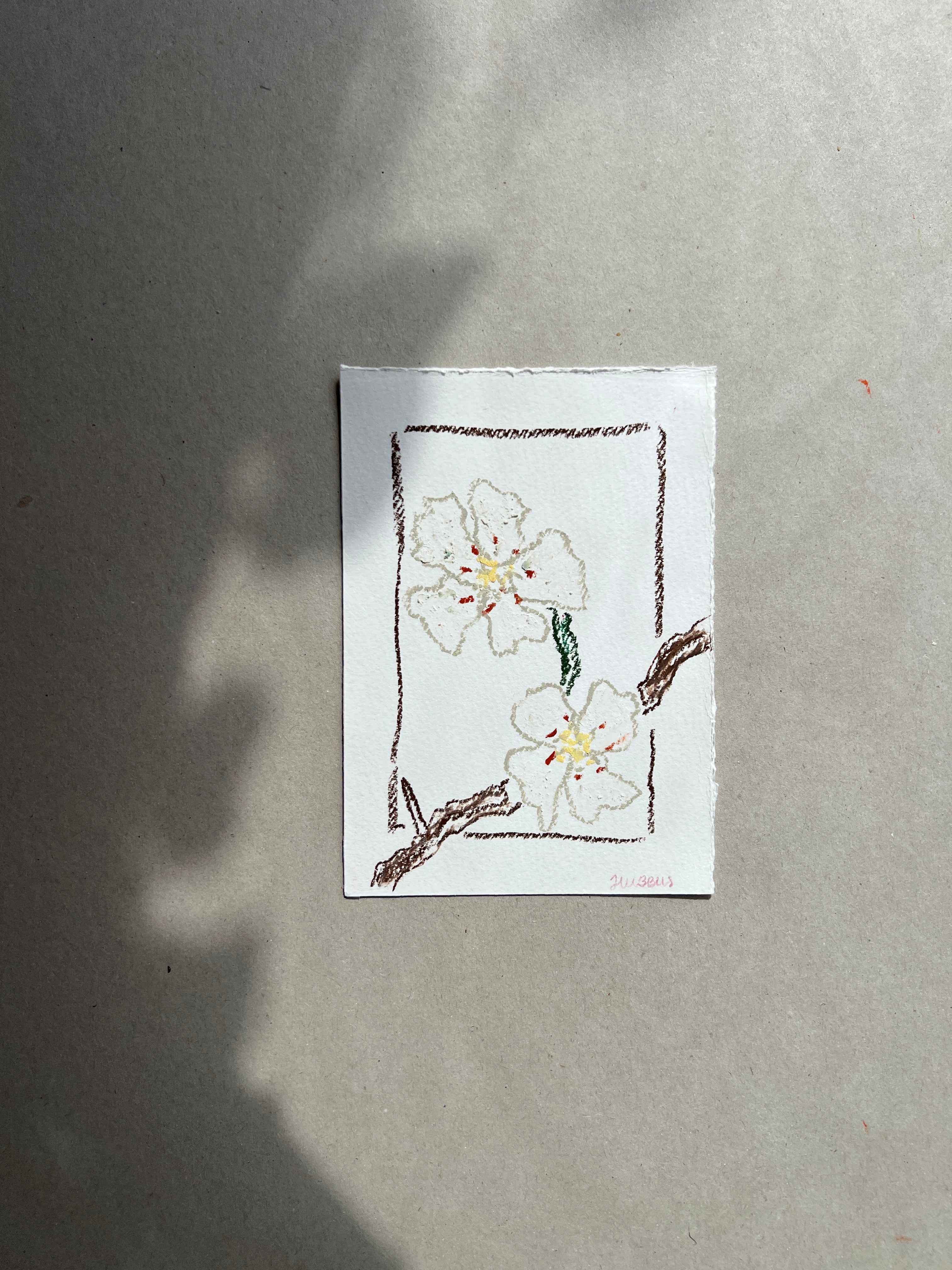 MAY FLOWER 03