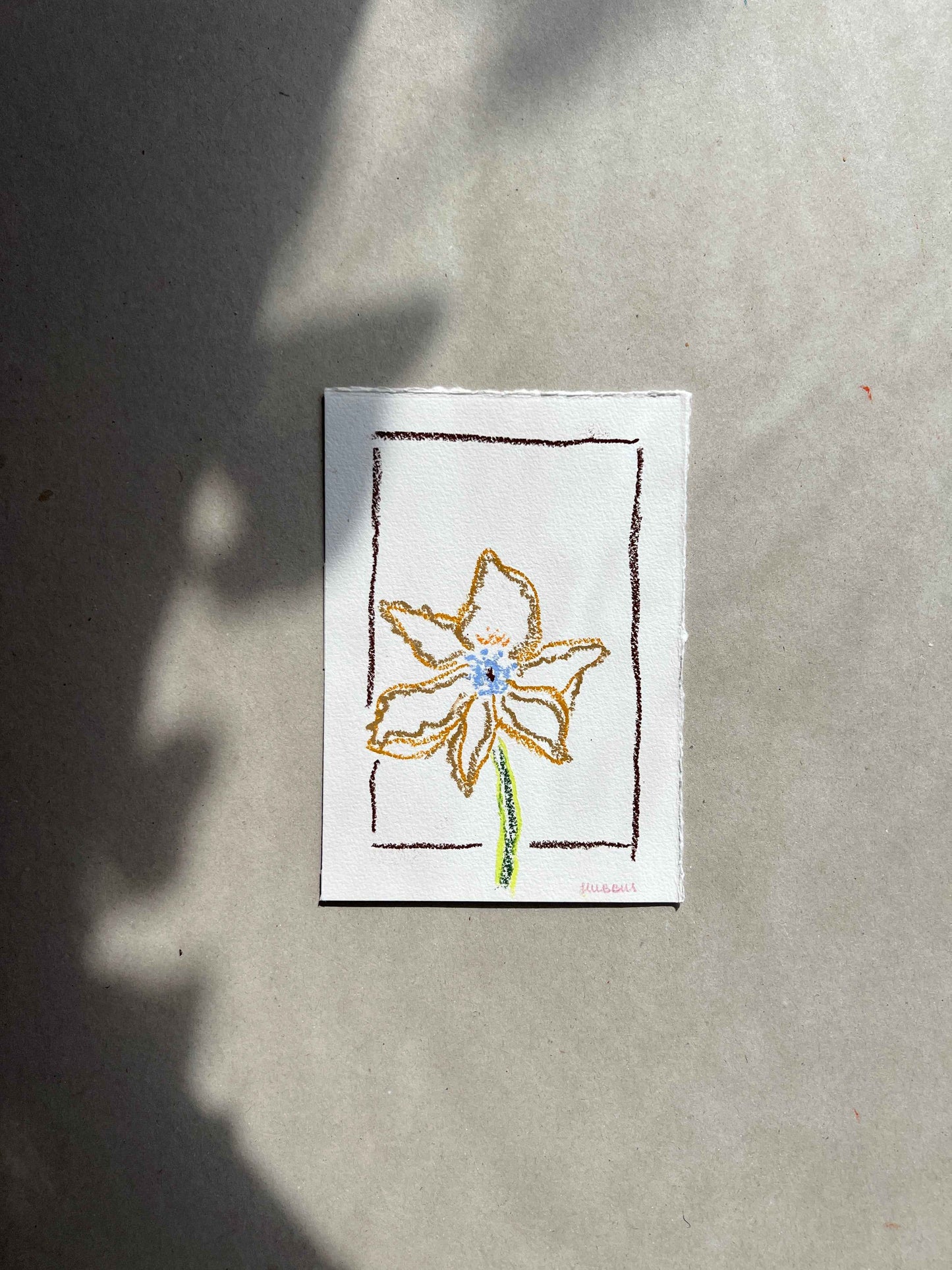 JUNE FLOWER 01