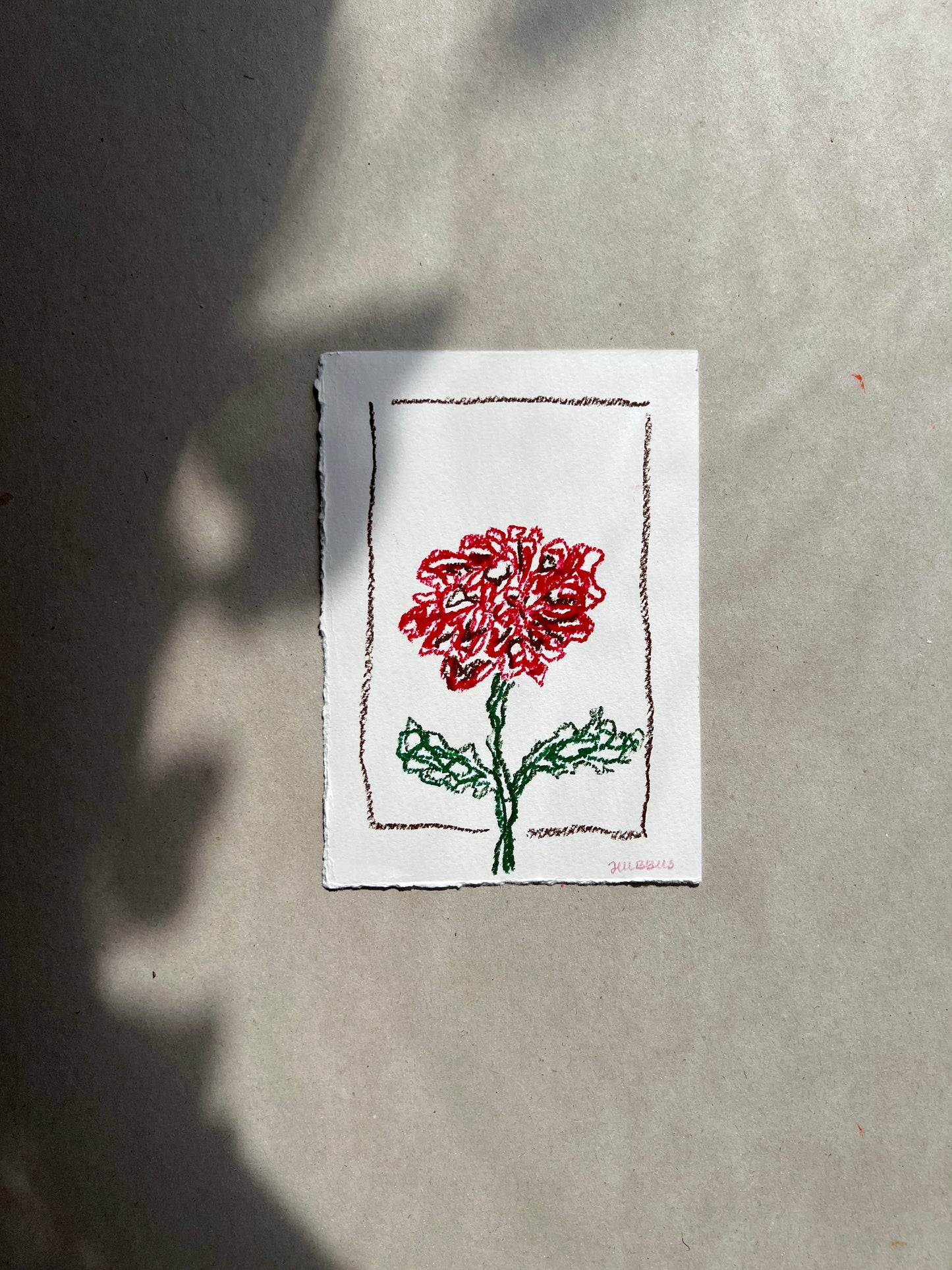 NOVEMBER FLOWER 01