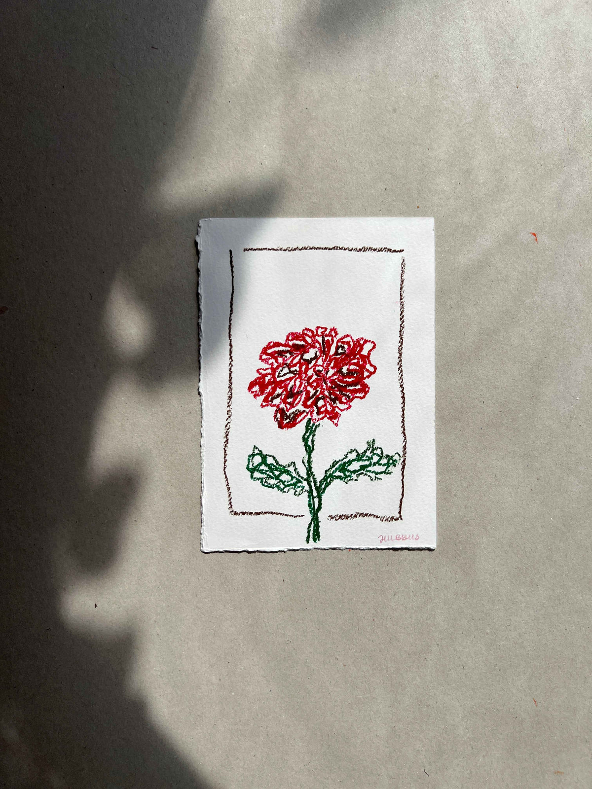 NOVEMBER FLOWER 01