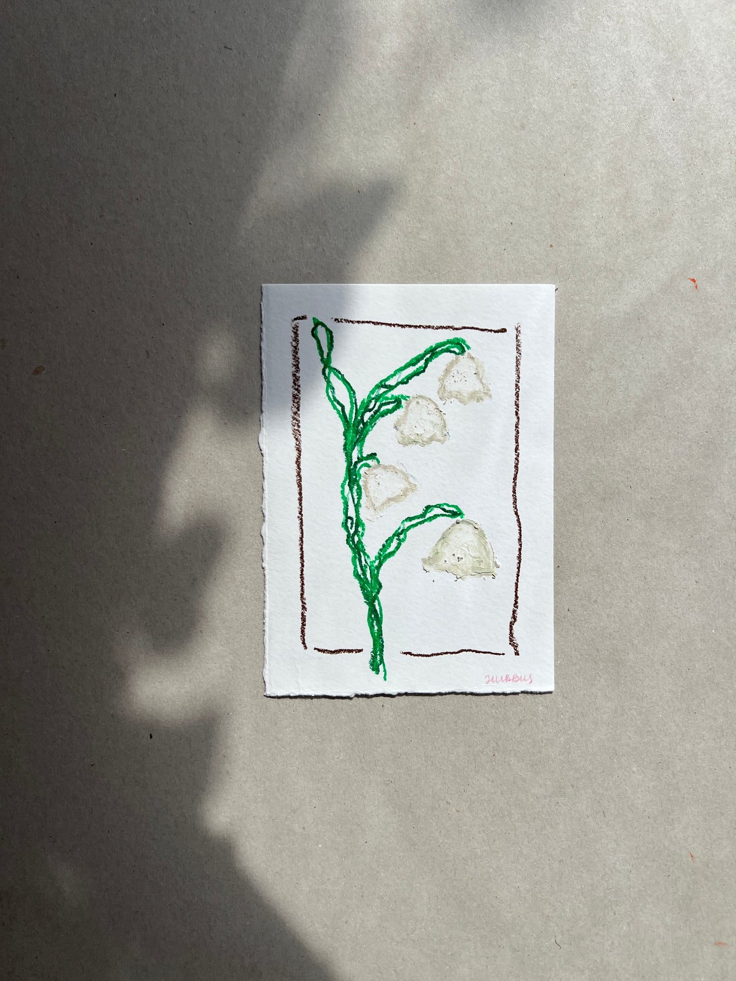 MAY FLOWER 02