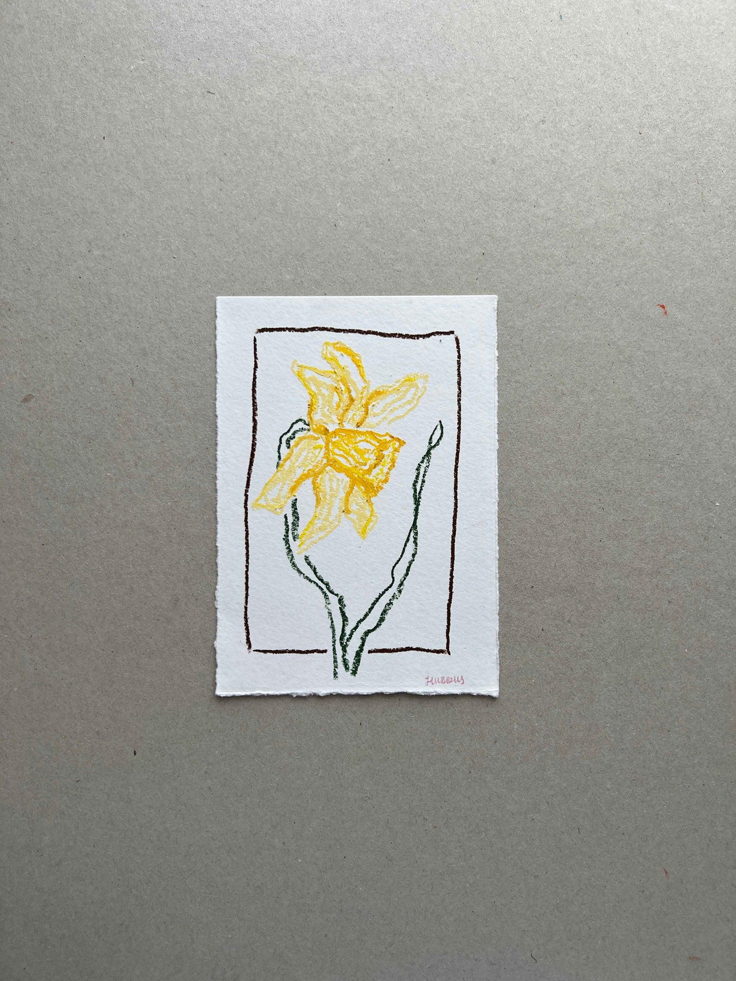 MARCH FLOWER 01