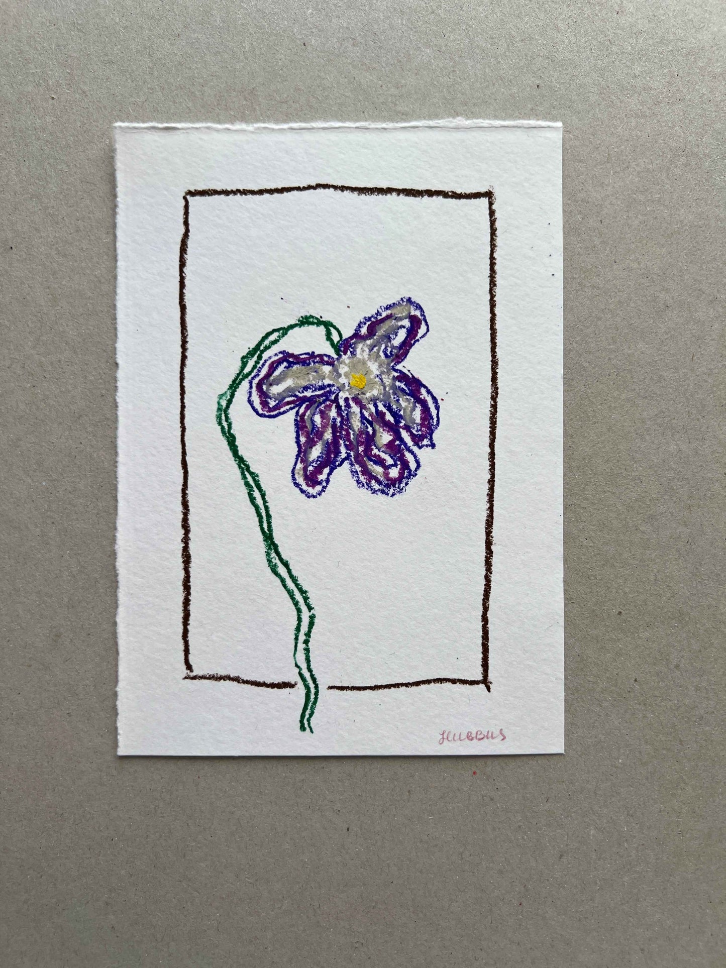 FEBRUARY FLOWER 01
