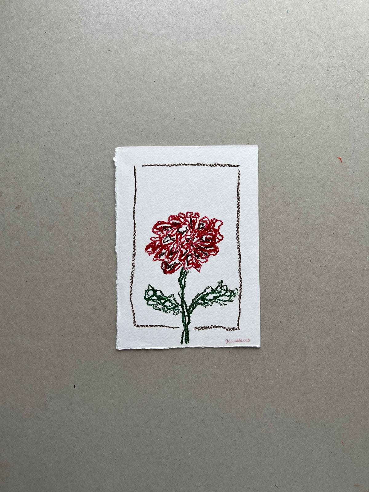 NOVEMBER FLOWER 01
