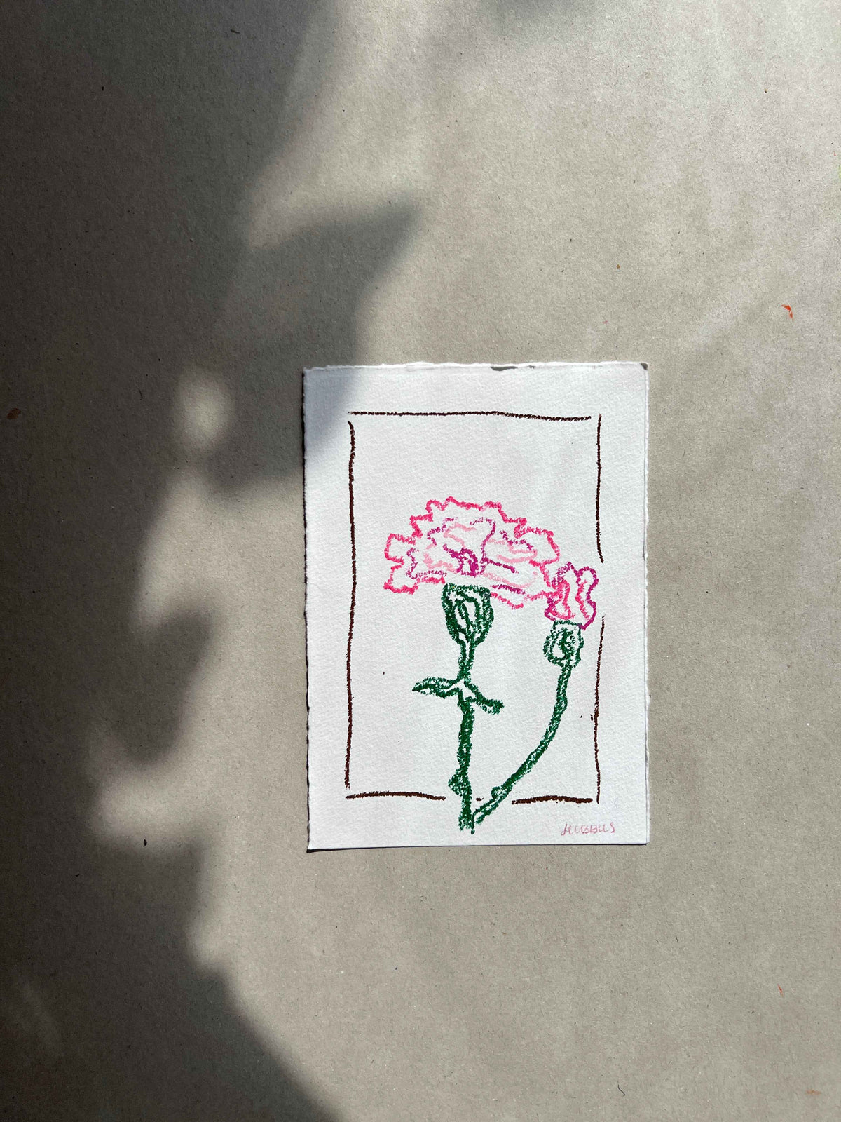 JANUARY FLOWER 02