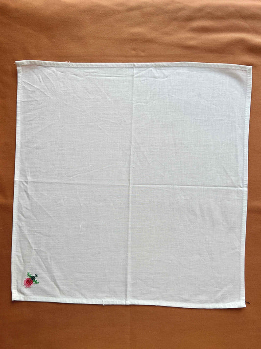 NAVNEMASKOT No. 35 - HUBBUS