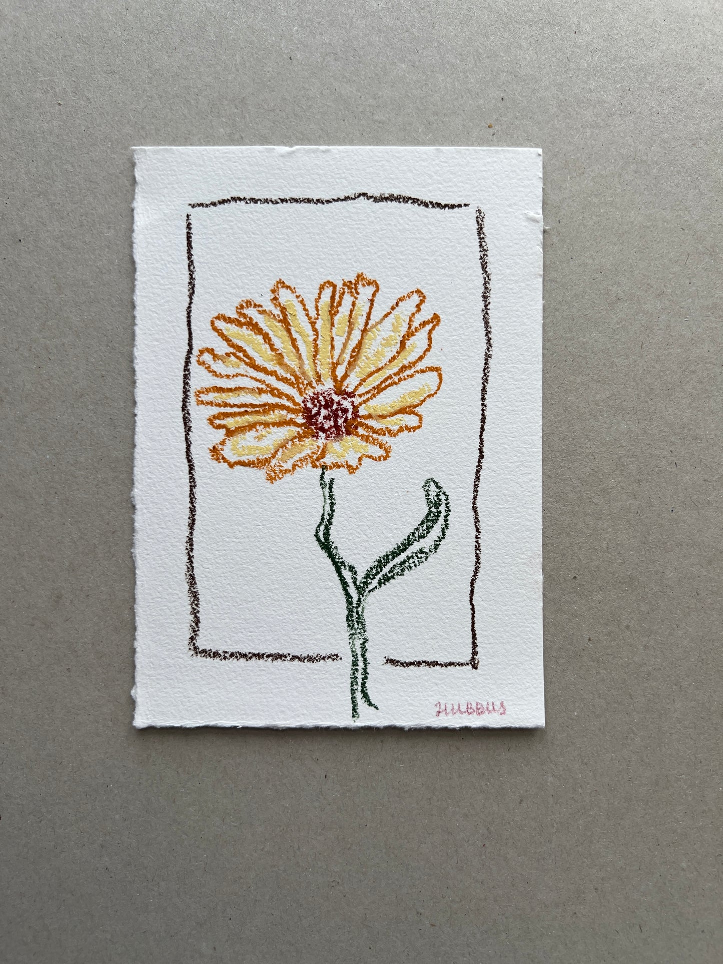 OCTOBER FLOWER 01