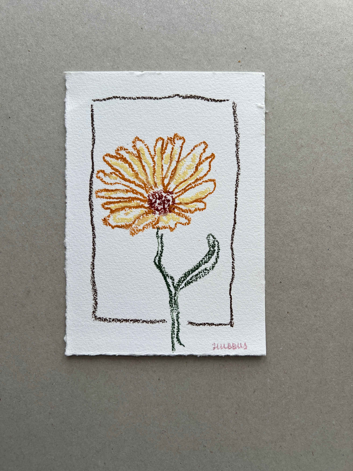 OCTOBER FLOWER 01