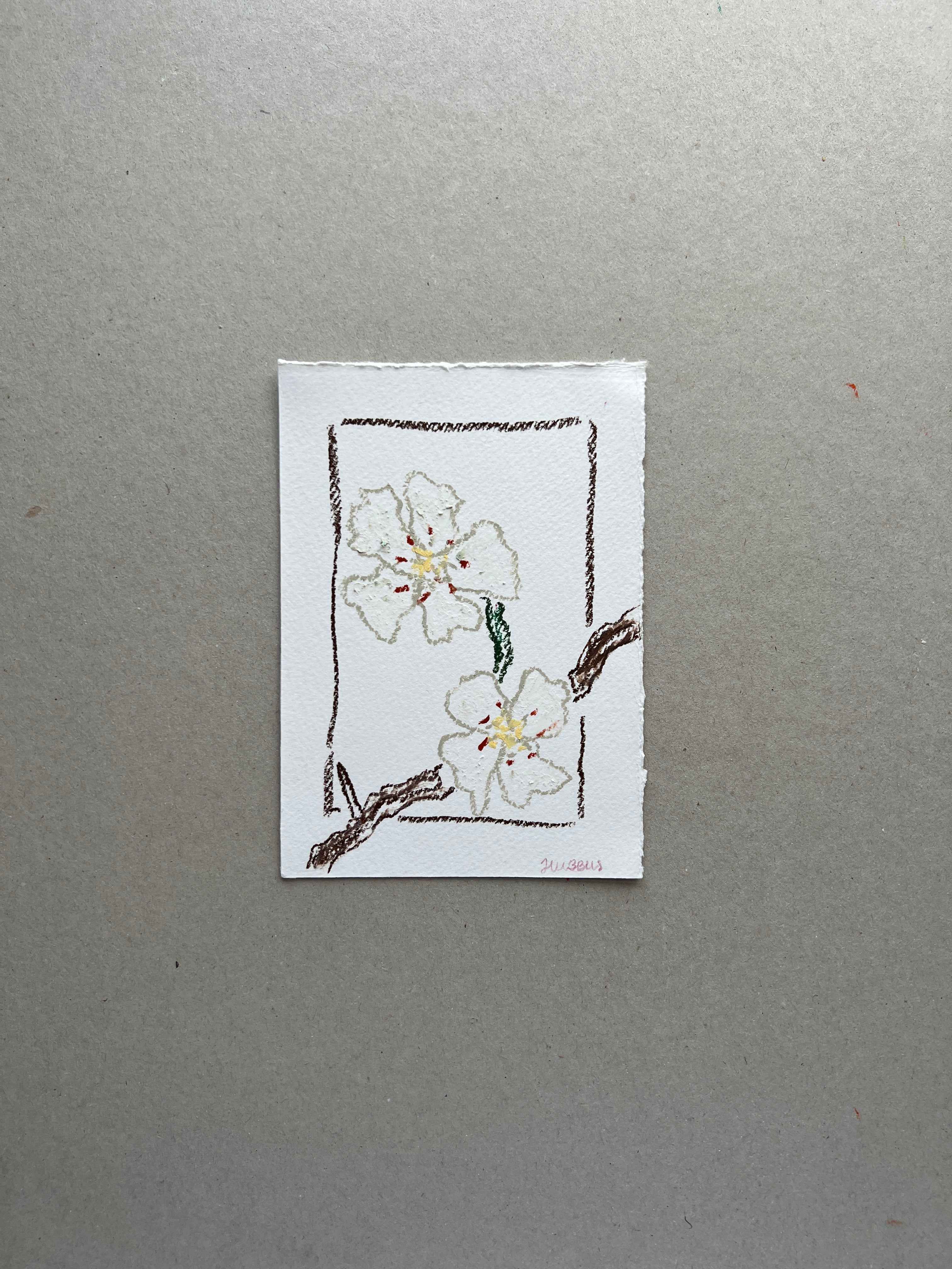 MAY FLOWER 03
