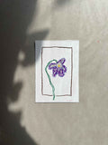 FEBRUARY FLOWER 01