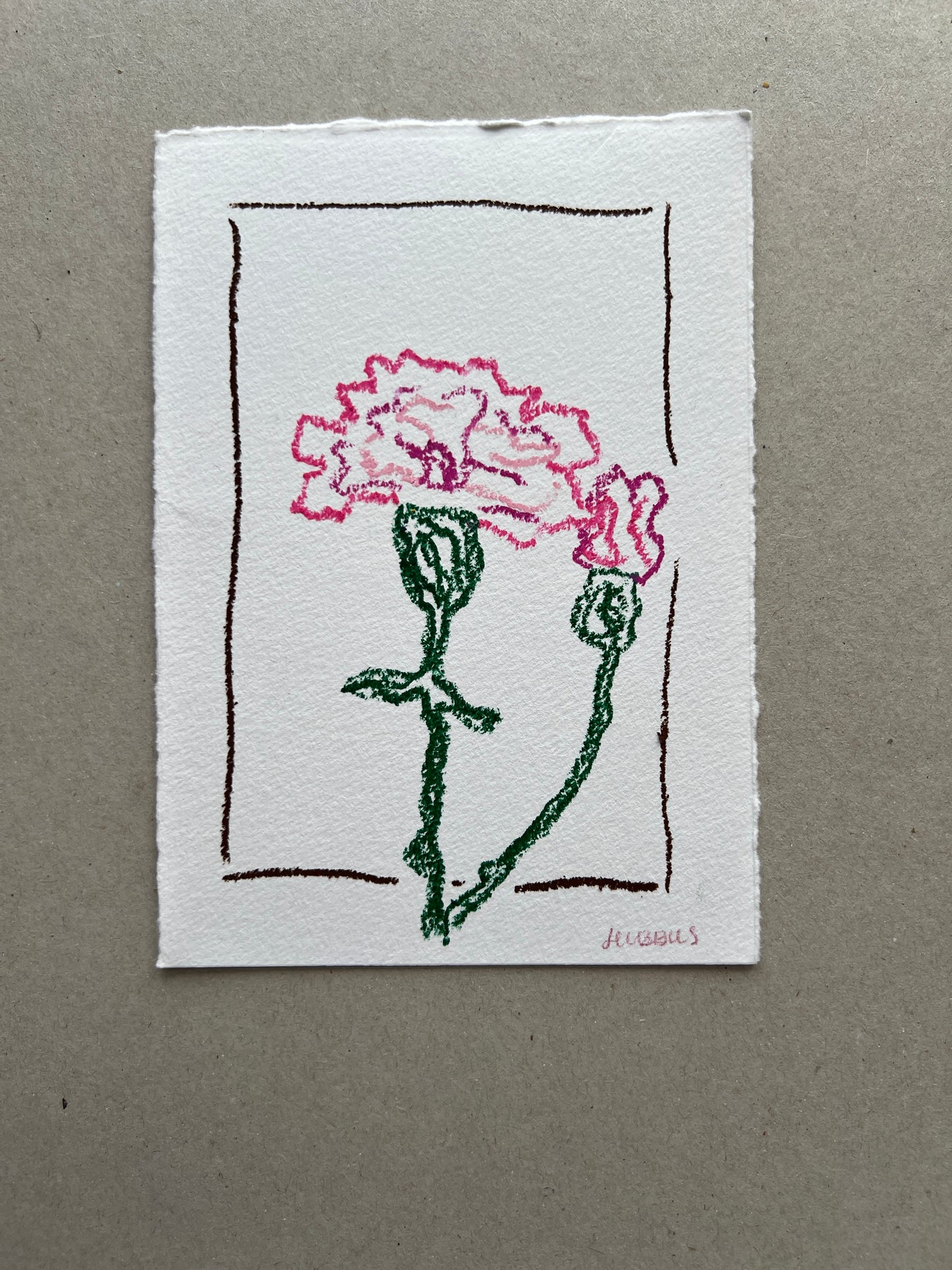 JANUARY FLOWER 02