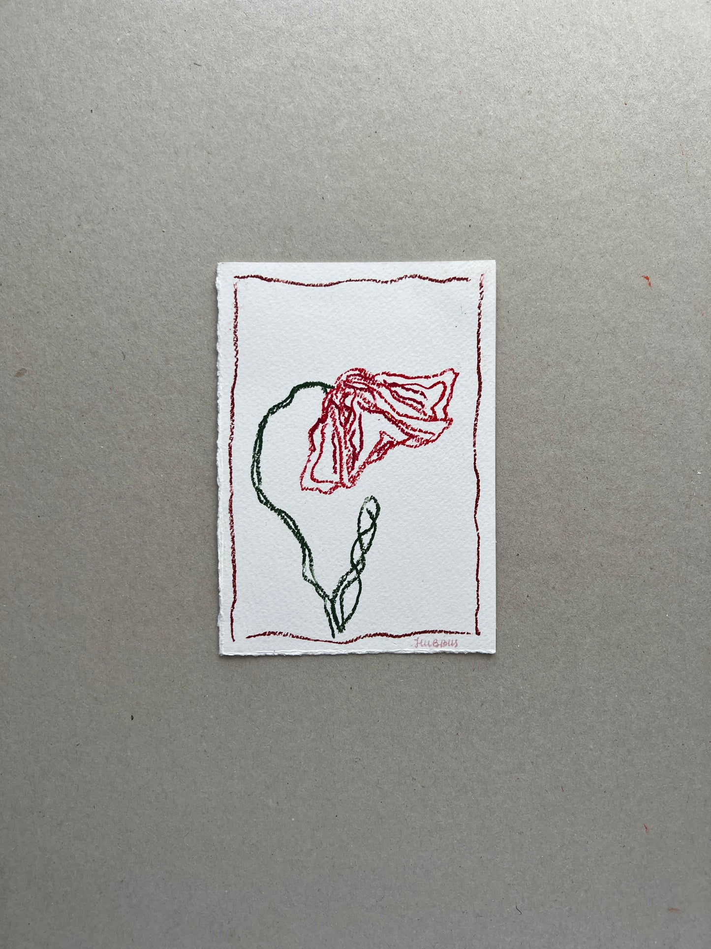 AUGUST FLOWER 01