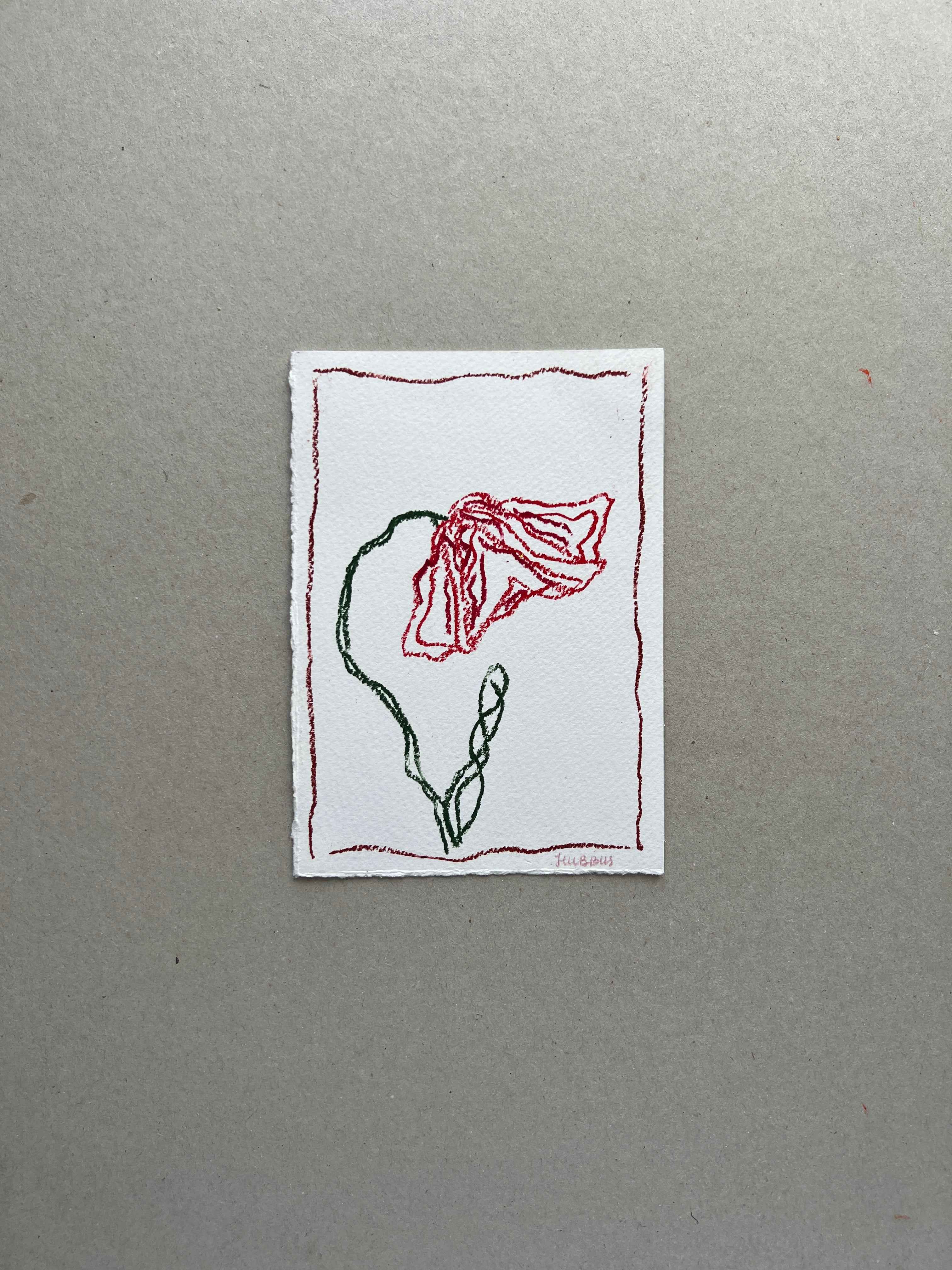 AUGUST FLOWER 01