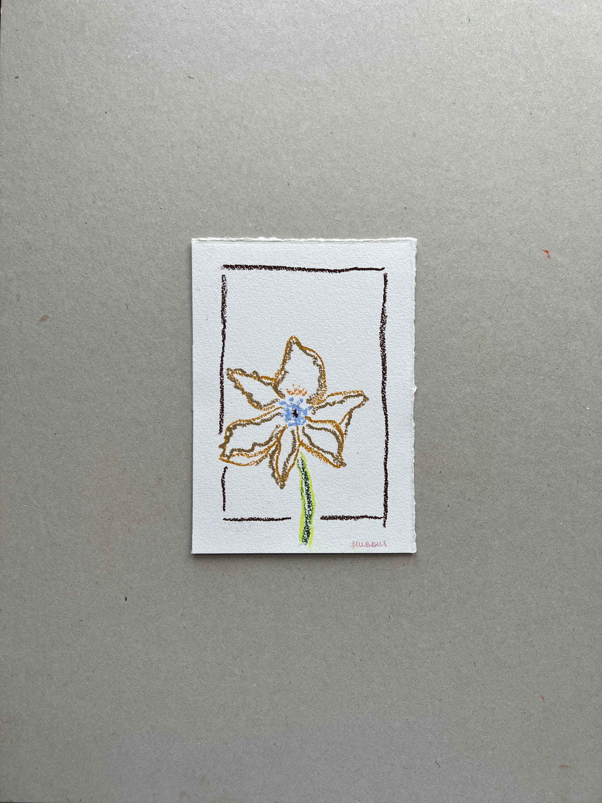 JUNE FLOWER 01