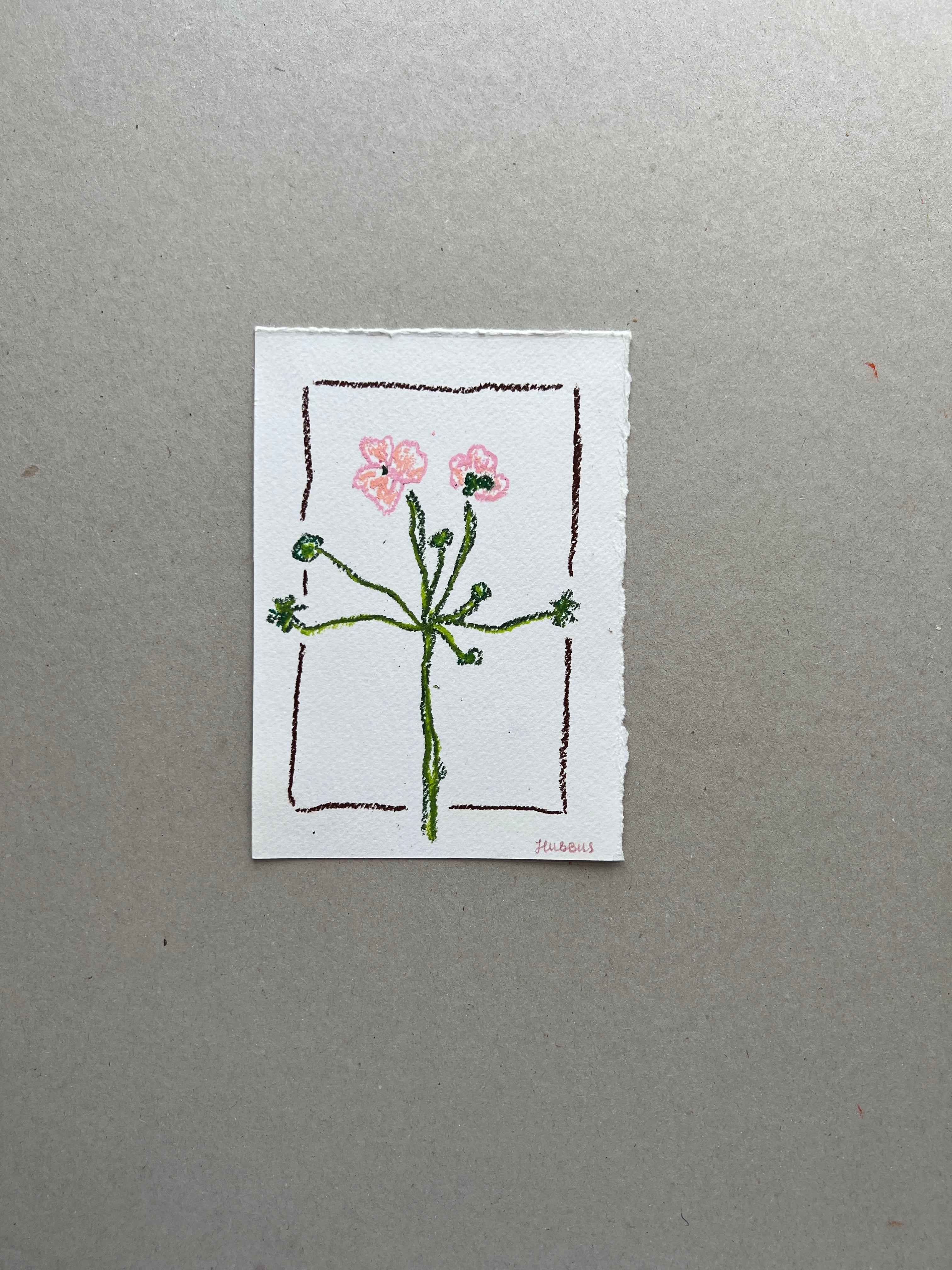 MAY FLOWER 01