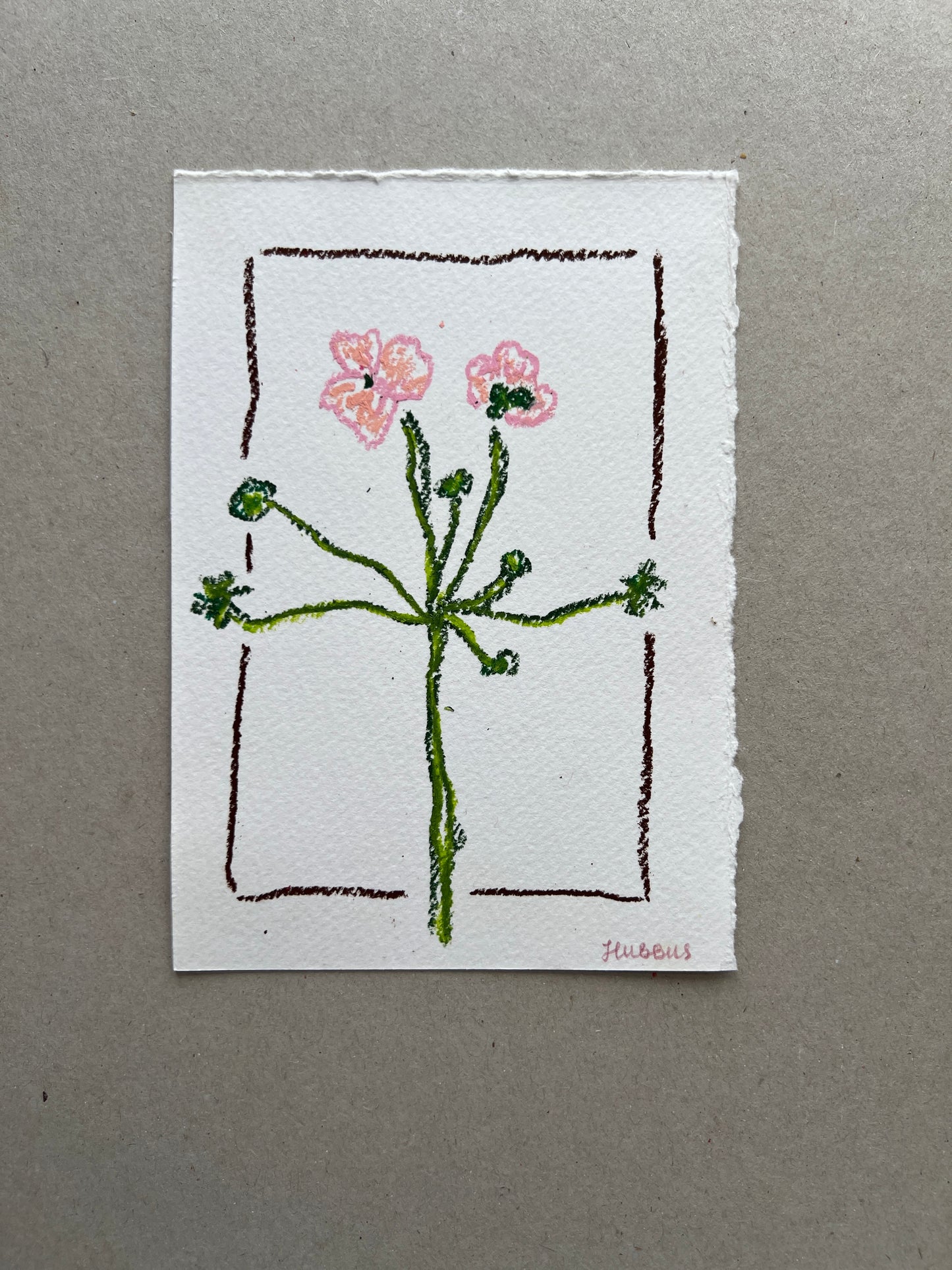 MAY FLOWER 01