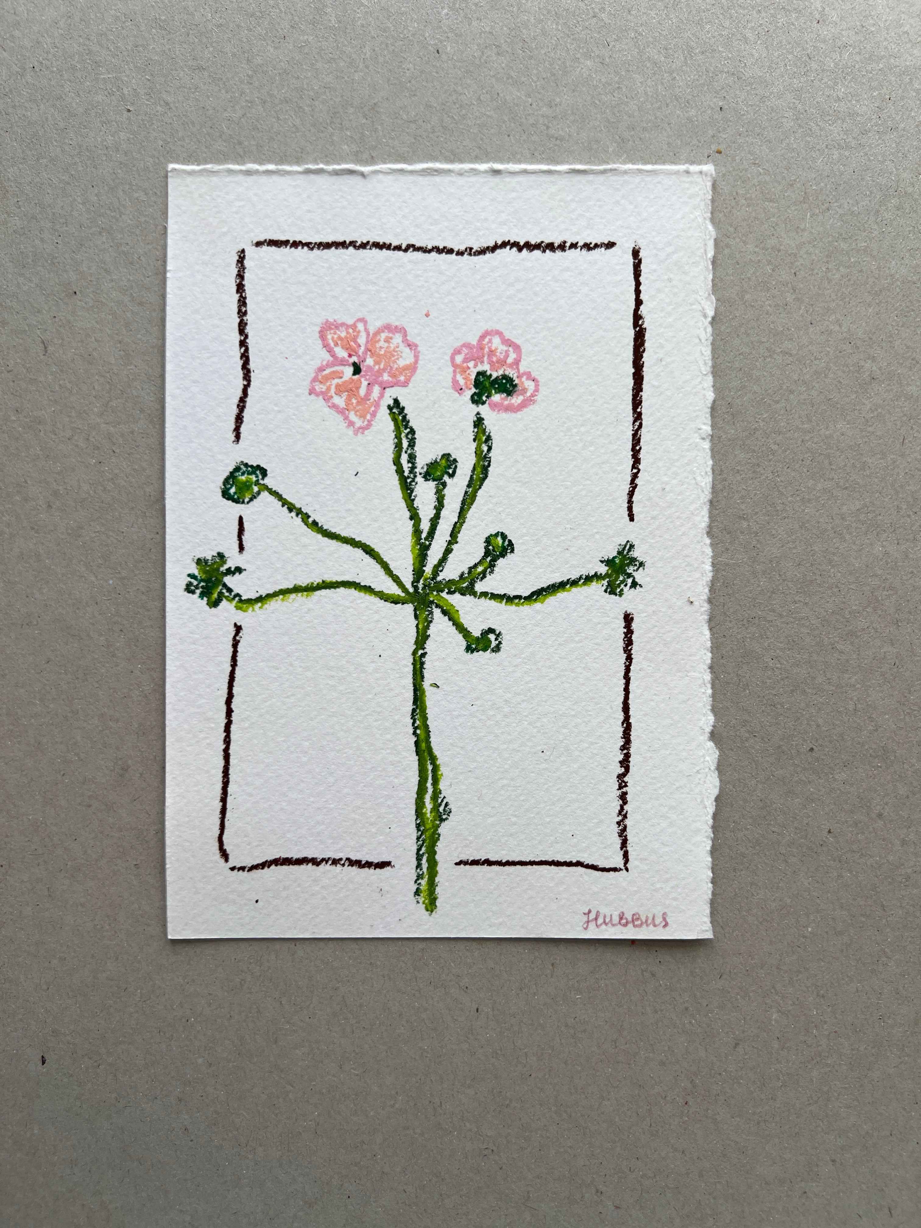 MAY FLOWER 01