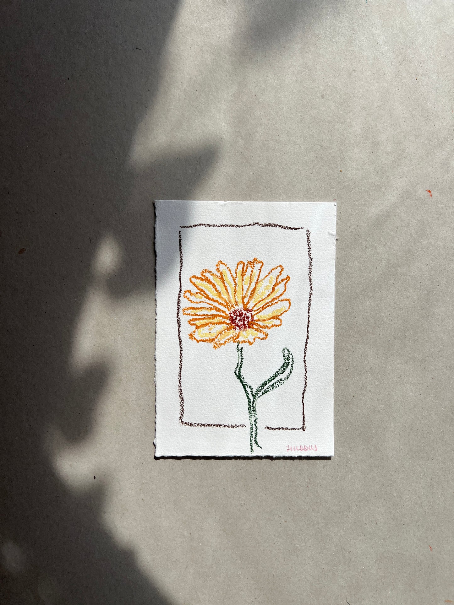 OCTOBER FLOWER 01