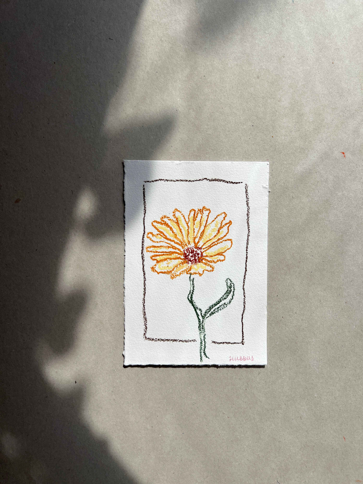 OCTOBER FLOWER 01