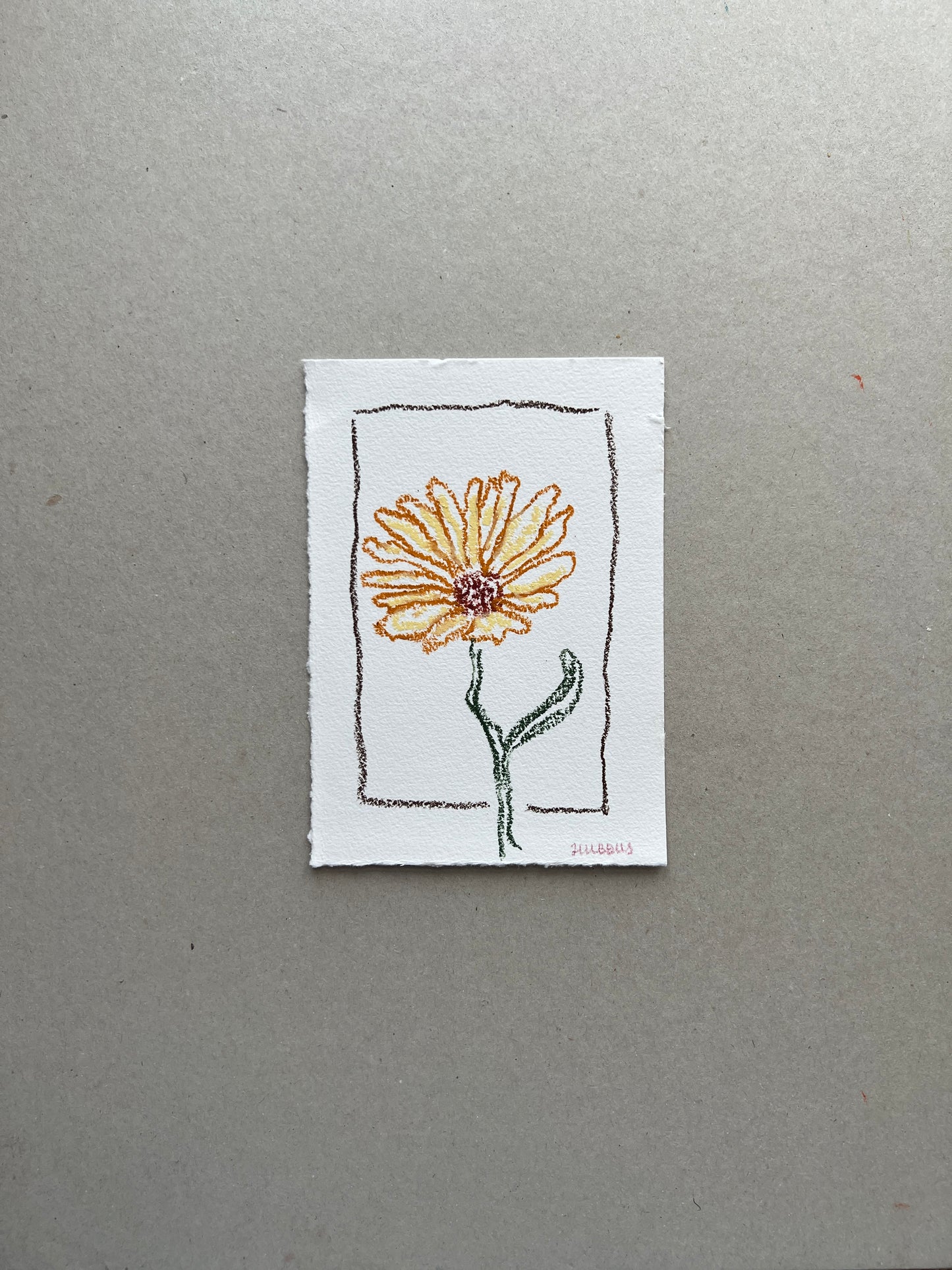 OCTOBER FLOWER 01