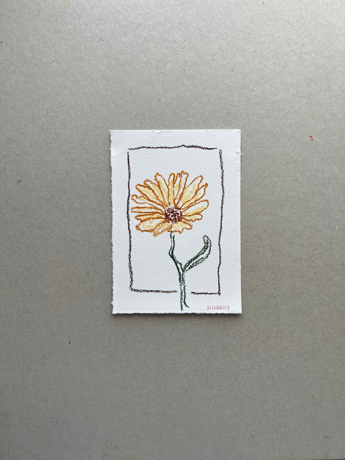 OCTOBER FLOWER 01