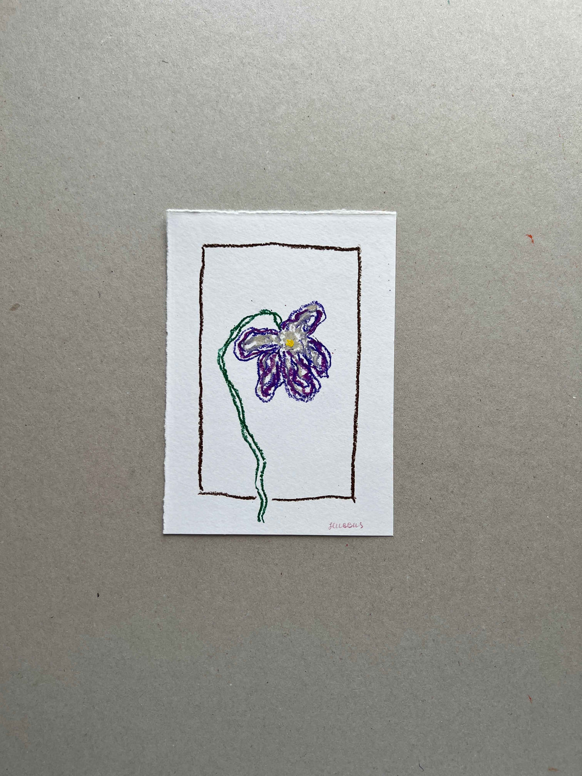 FEBRUARY FLOWER 01
