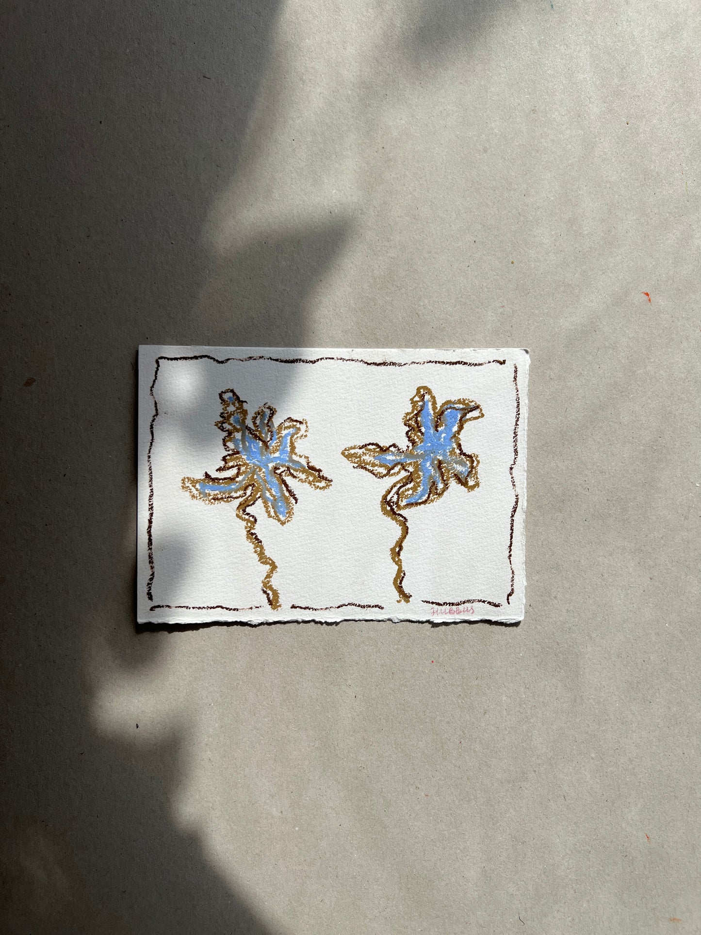 JUNE FLOWER 02