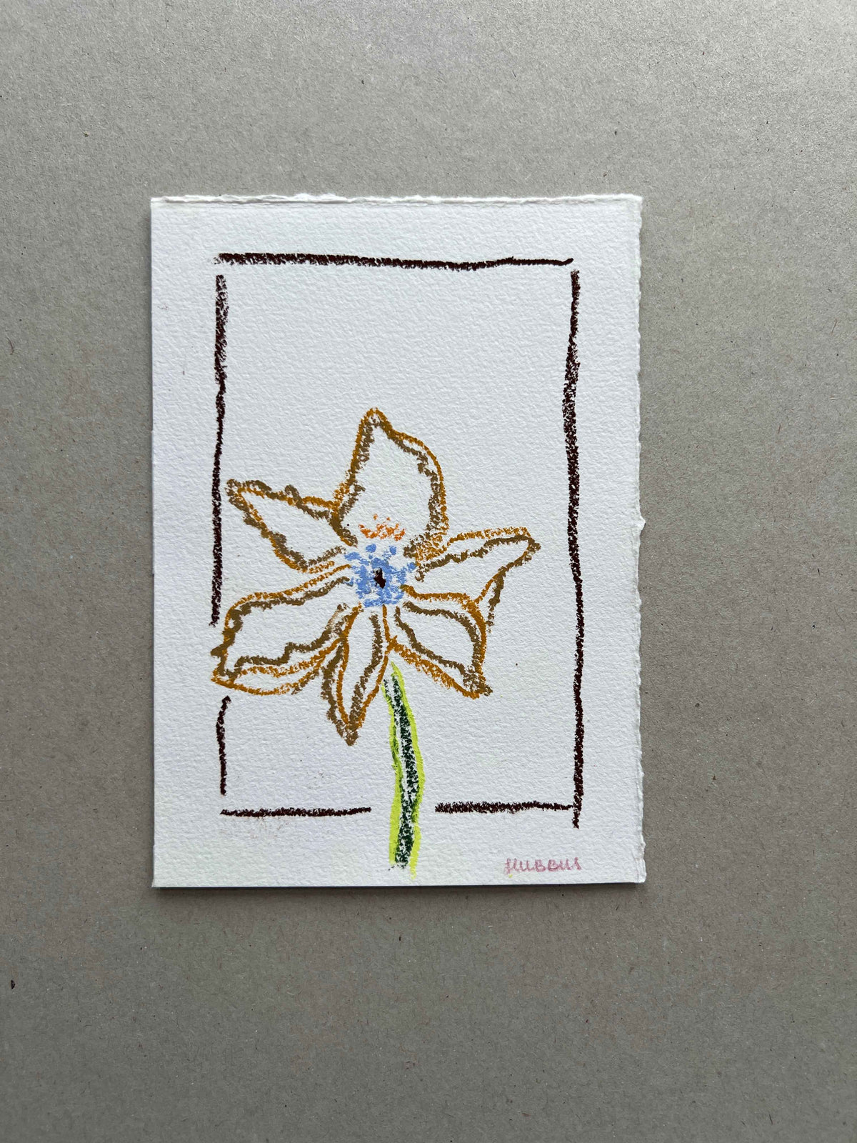 JUNE FLOWER 01
