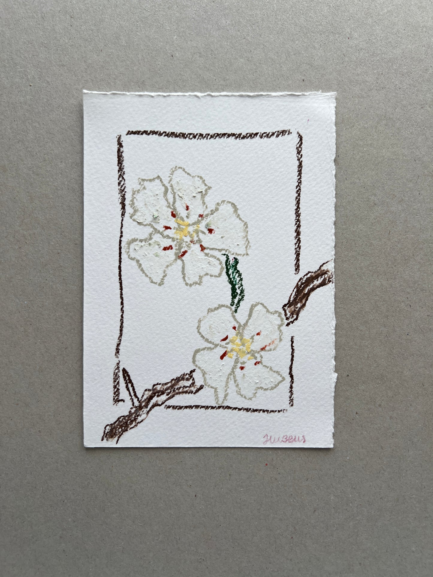 MAY FLOWER 03