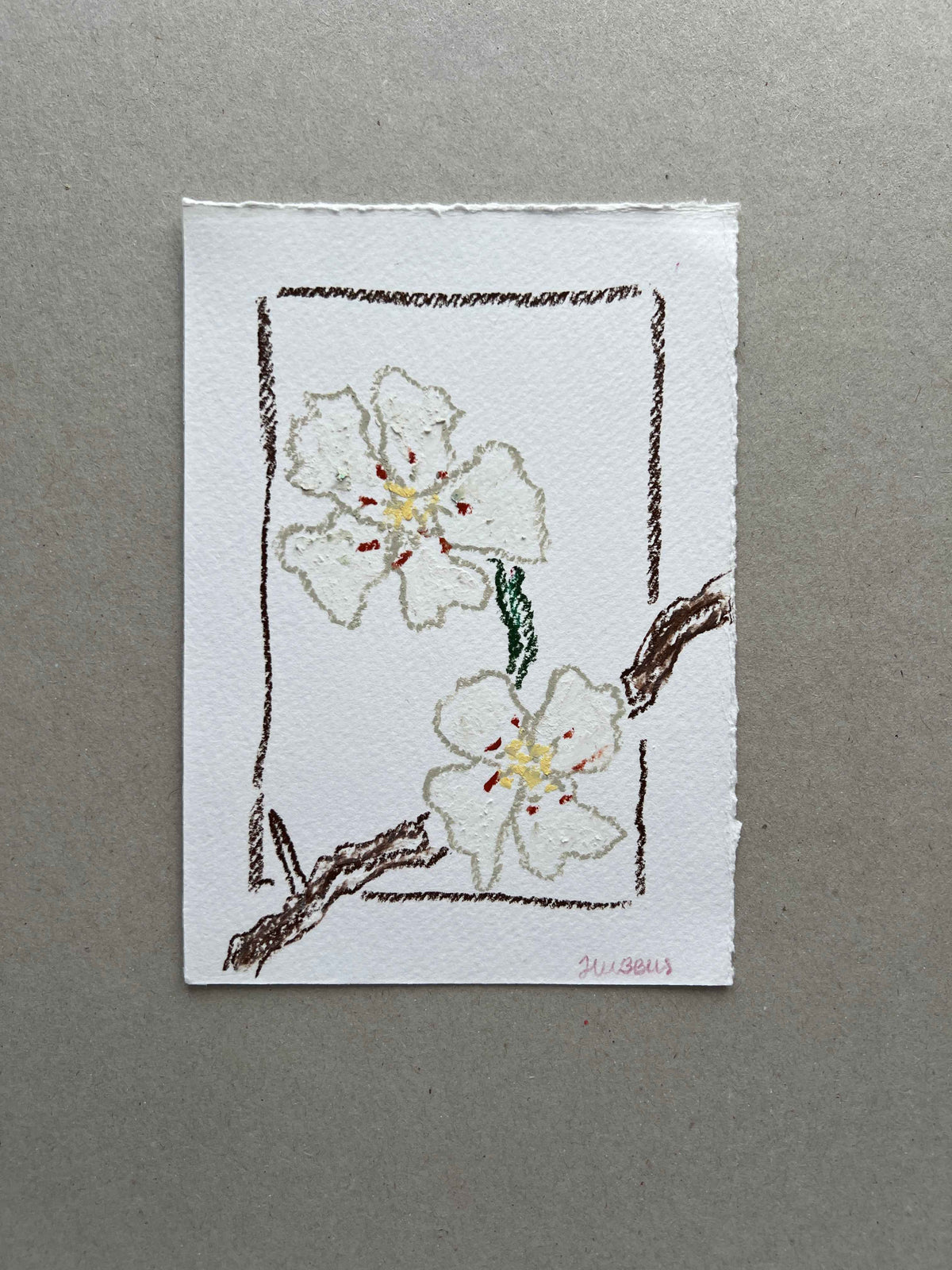 MAY FLOWER 03